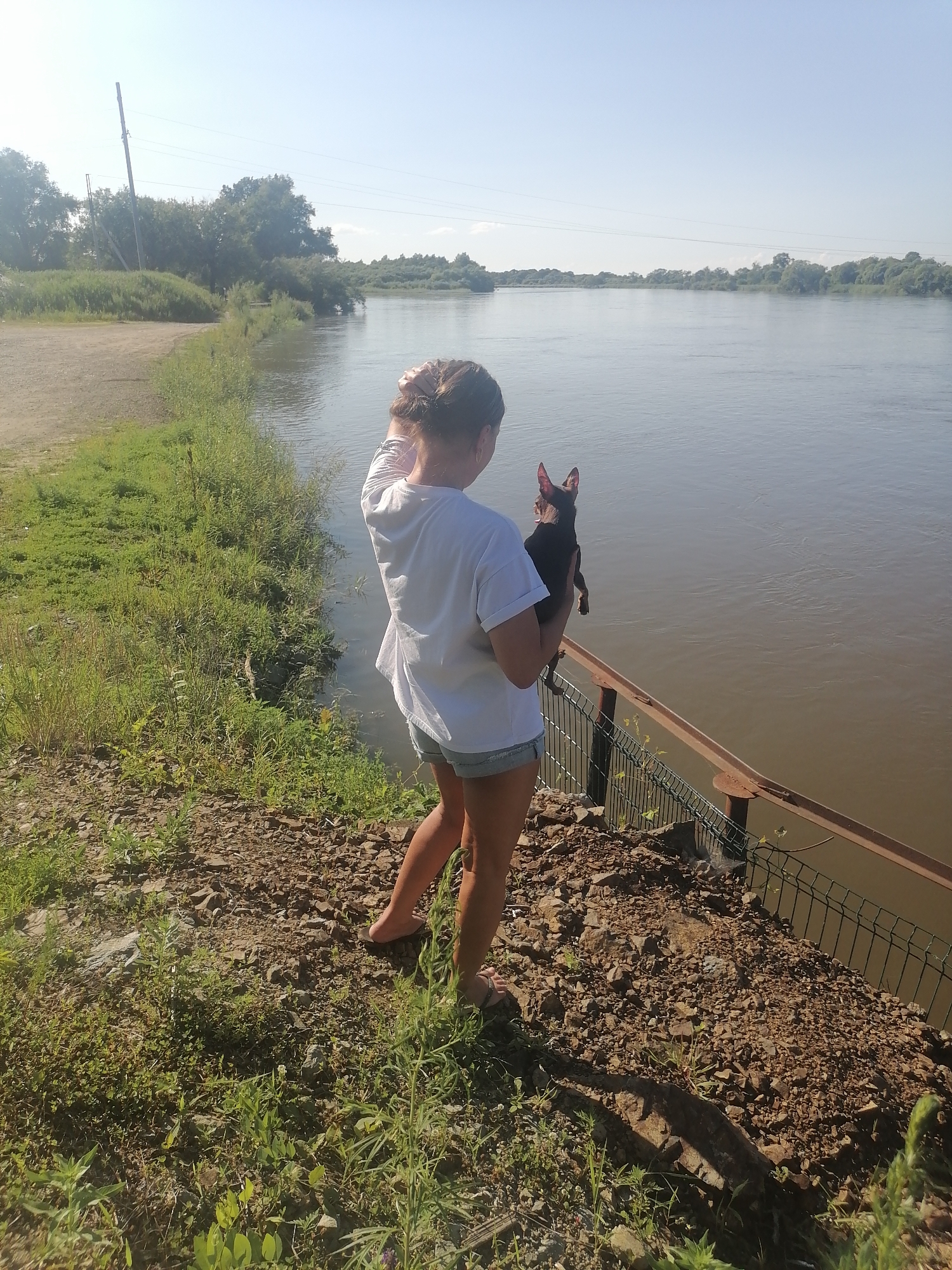 In Novopokrovka, Russia, a young woman, seen from behind, stands at the edge of a wide, calm river, holding a small black dog. She wears a white t-shirt and denim shorts, her hair pulled back. The dog is nestled in her arms, facing the water. They are positioned on a rocky embankment covered with sparse green vegetation, adjacent to a rusty metal fence. The river stretches to the horizon, where a distant treeline marks the opposite bank. The sky is clear and blue, with the sun casting bright light on the scene. A dirt path and more greenery are visible to the left of the embankment.