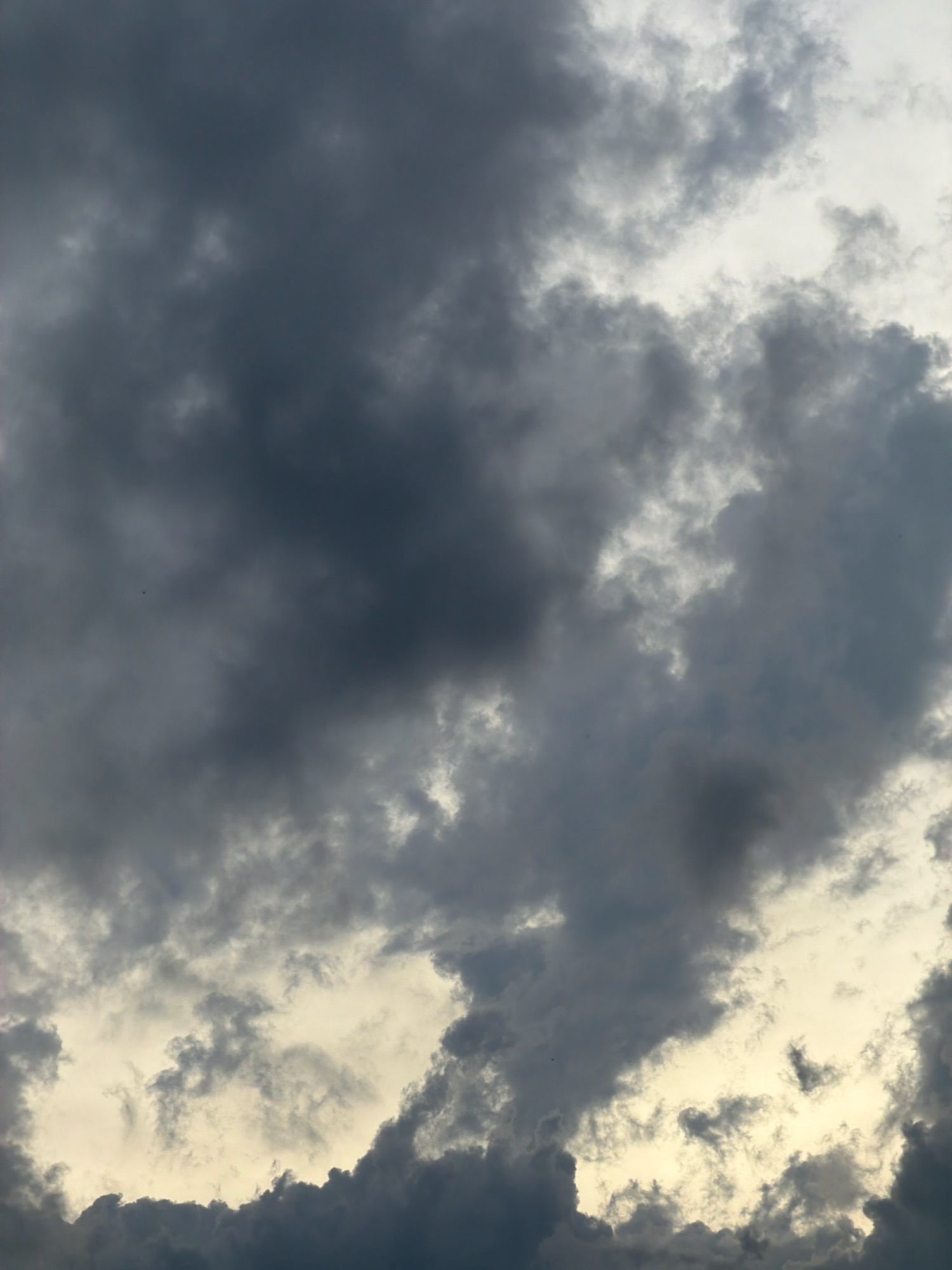 A low-angle, medium shot captures a dramatic sky filled with dark, moody clouds. The clouds are predominantly a deep gray, with hints of lighter gray and white where the light attempts to break through. The overall impression is one of impending weather, possibly a storm. The texture of the clouds varies, from dense and heavy to wispy and scattered. The lighting is subdued, creating a sense of depth and volume within the cloud formations. There are no visible people, structures, or identifiable landmarks in the frame, suggesting a view of the sky in an open area, devoid of urban context.