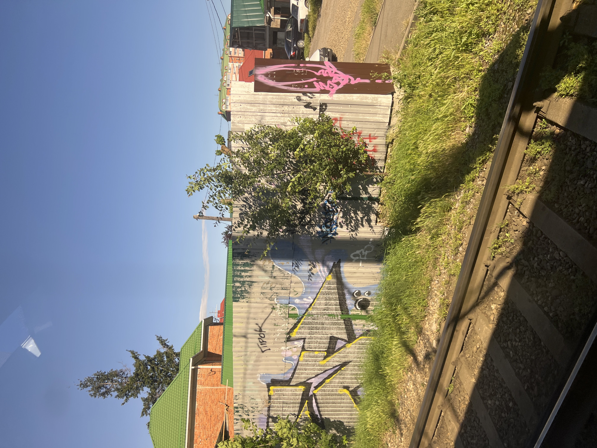 The image shows a corrugated metal fence covered in graffiti, with a small tree growing in front of it. In the background, there are houses with green roofs and a clear blue sky. Train tracks are visible in the foreground, with tall green grass growing alongside them. The scene appears to be in a suburban or industrial area.