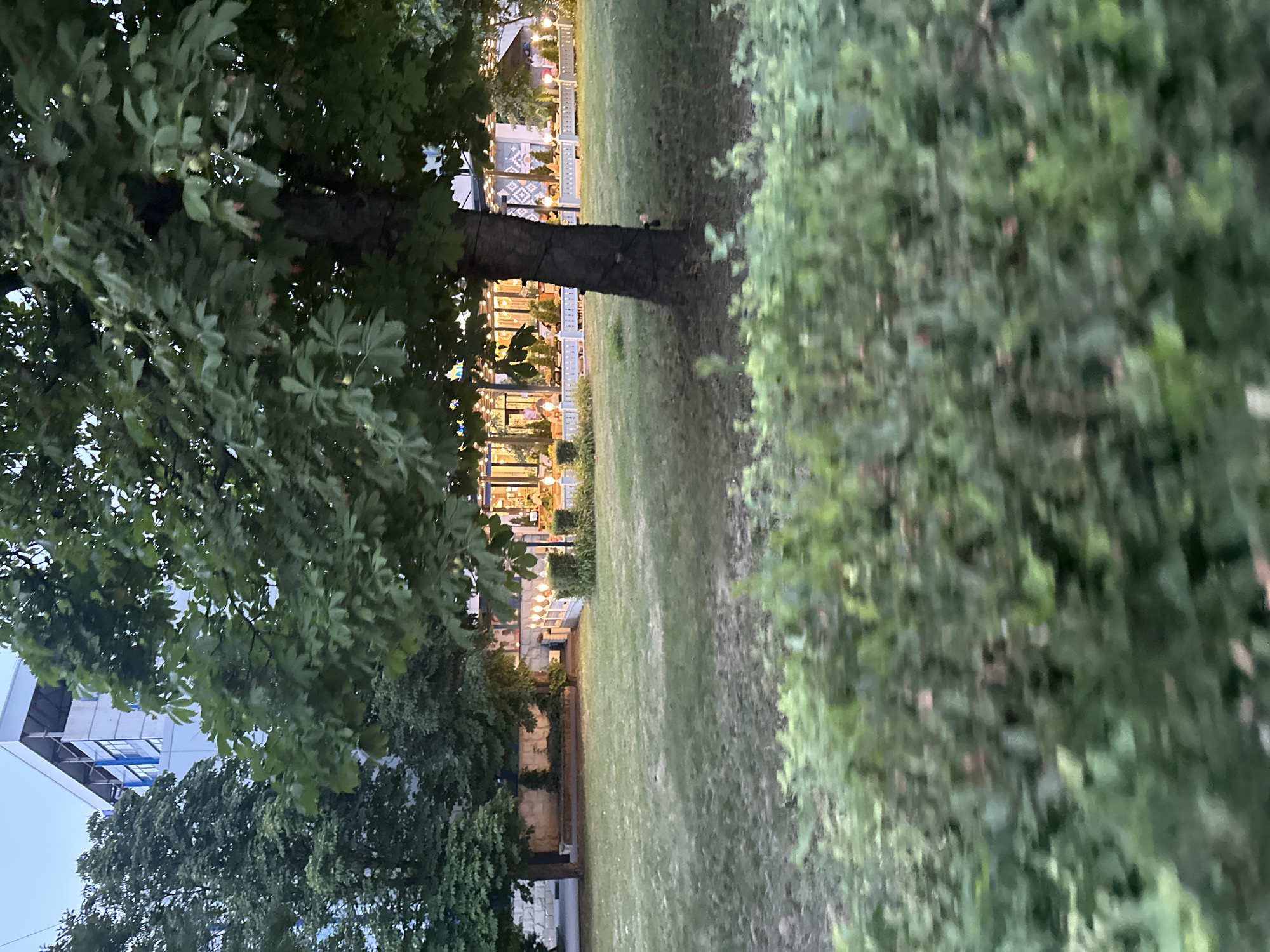 The image depicts an outdoor scene at dusk, likely in a park or public space within the city of Chișinău, Moldova. In the background, a multi-story building with a modern, angular design is visible, featuring large windows. Adjacent to the building and extending into the midground is an open-air establishment, possibly a cafe or restaurant, characterized by a white fence, numerous small lights illuminating the area, and tables and chairs set up for patrons. A large tree with dense green foliage stands prominently in the foreground, obscuring a portion of the establishment. The ground in front of the establishment is covered in grass, with manicured bushes in the immediate foreground. The overall atmosphere is calm, suggesting a leisure setting as evening approaches.