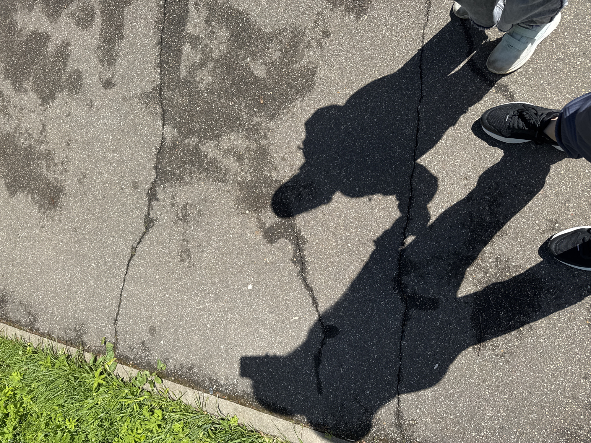 The image depicts an outdoor scene on a paved surface, likely a sidewalk or street, with grass growing along one edge. Two people are present, identifiable by their shadows and shoes visible at the top right of the frame. One person wears grey sneakers with light-colored denim pants, while the other wears black athletic shoes with navy-colored denim pants. The shadows cast by the individuals indicate a sunny day. Cracks are visible in the pavement. The location is unknown, but the request suggests Shevlyakovo, Russia.