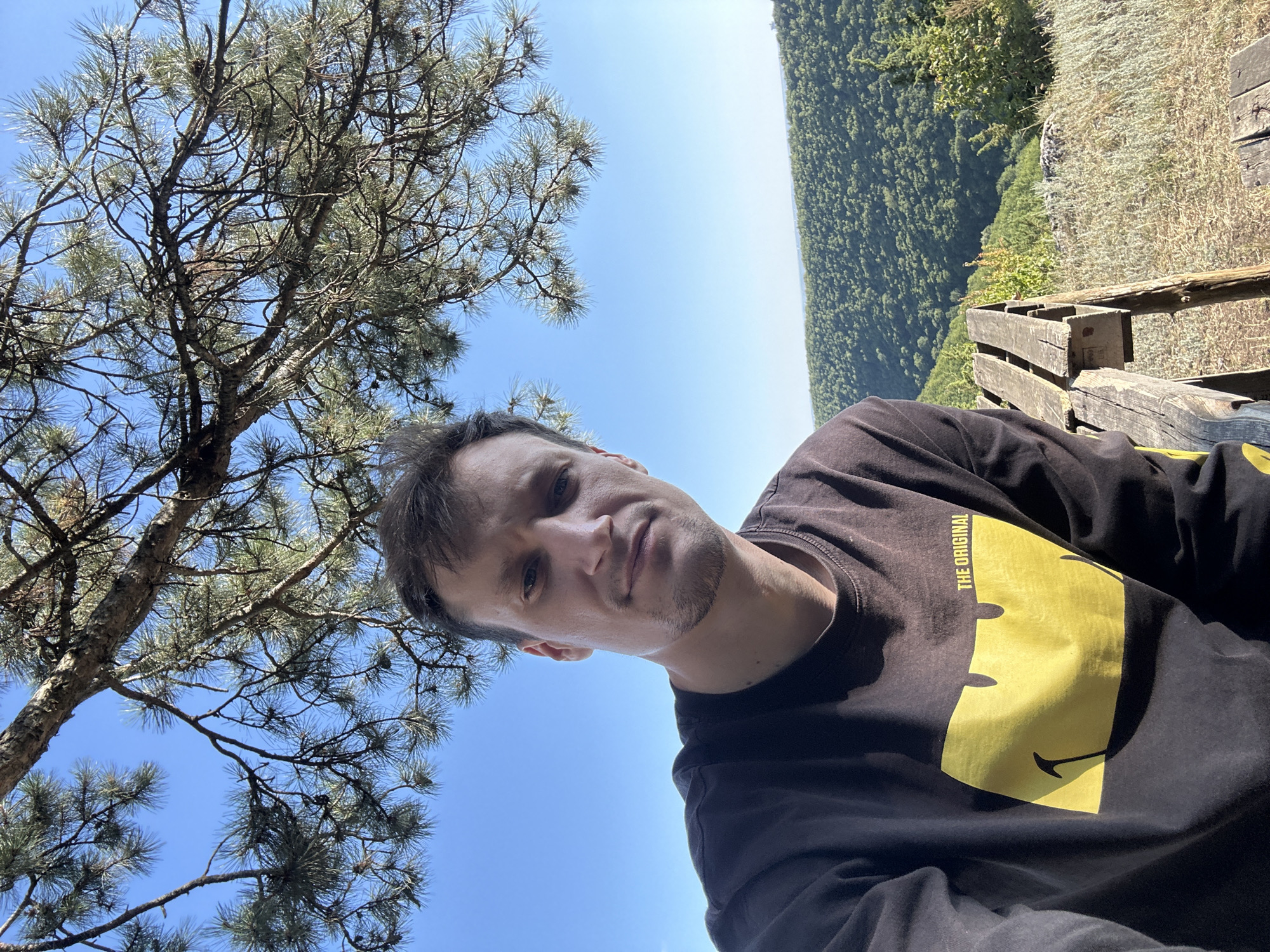 A man with short brown hair and stubble is taking a selfie outdoors. He is wearing a dark brown long-sleeved shirt with a large yellow smiley face graphic and the words "THE ORIGINAL" above it. He is seated on a wooden bench, with a lush green, hilly landscape stretching out behind him under a clear blue sky. Pine branches hang overhead, partially obscuring the sky. The scene appears to be a scenic overlook, likely in the vicinity of Nihyn, Ukraine, given the geographical context.