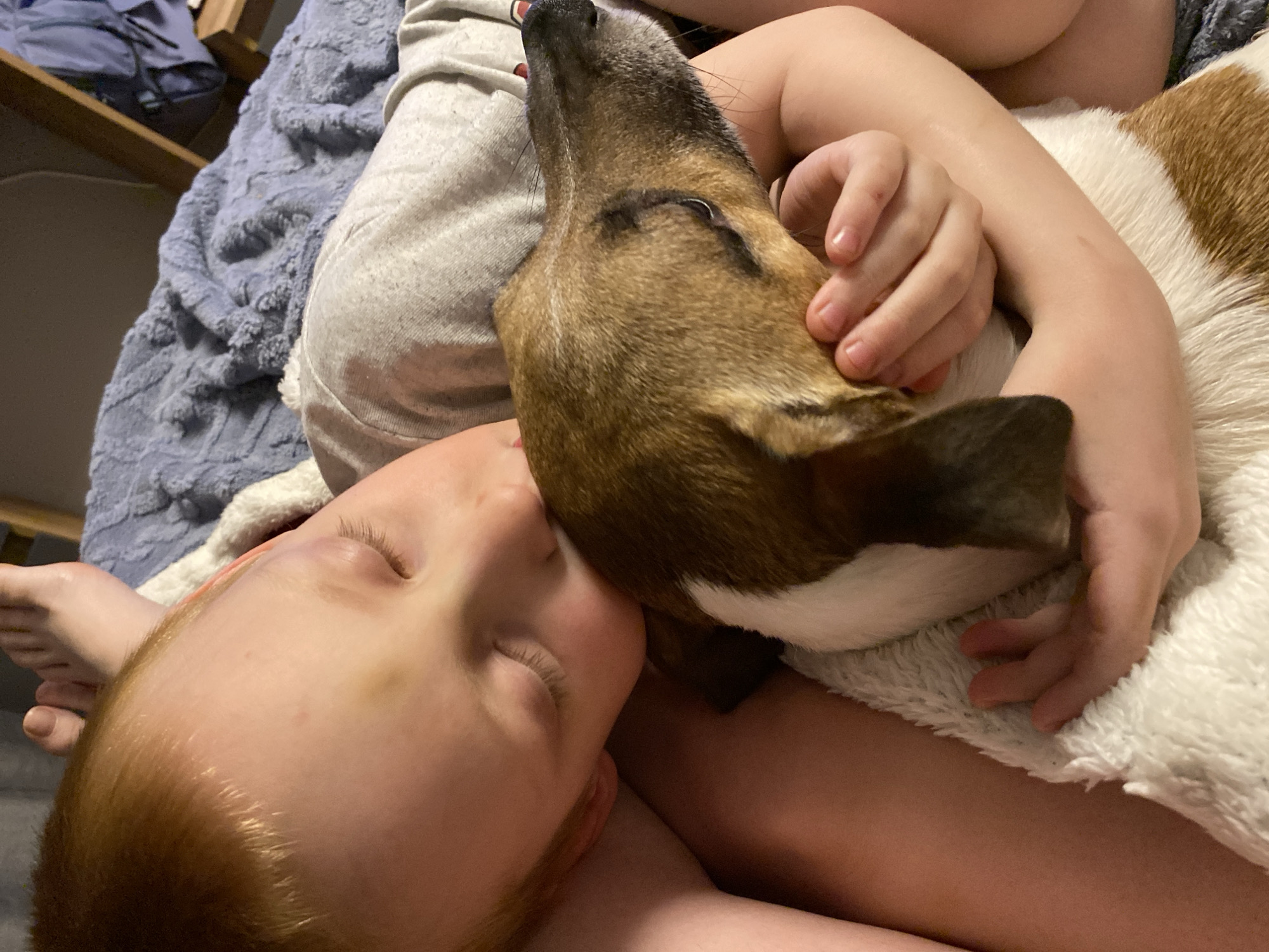 A young, light-skinned child with red hair is lying down with their eyes closed. The child is embracing a brown and white dog. The child's left hand is placed on the dog's head. The dog is also lying down, with its head resting near the child's face. They are on a bed with a fuzzy blanket. It is not possible to determine the location of the image as Noviy, Russia, or any other specific location.