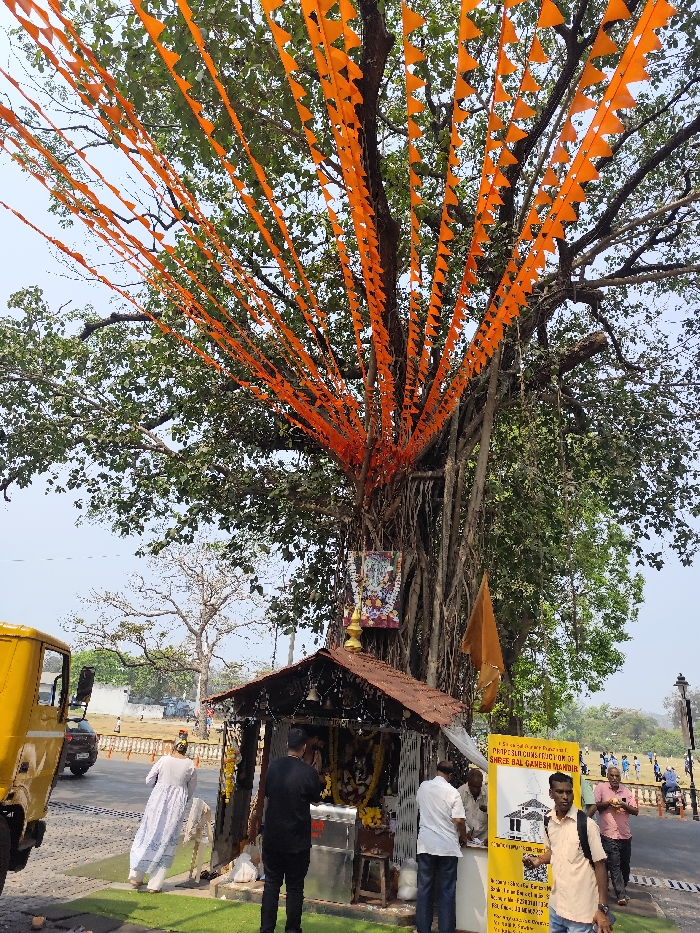 A shrine stands beneath a large banyan tree adorned with numerous orange pennants. People gather around the shrine, some appearing to pray. A yellow truck is parked on the left. A yellow sign with text and architectural drawings is visible next to the shrine. Beyond the shrine is a grassy area with more people and a low wall. The sky is pale blue.
