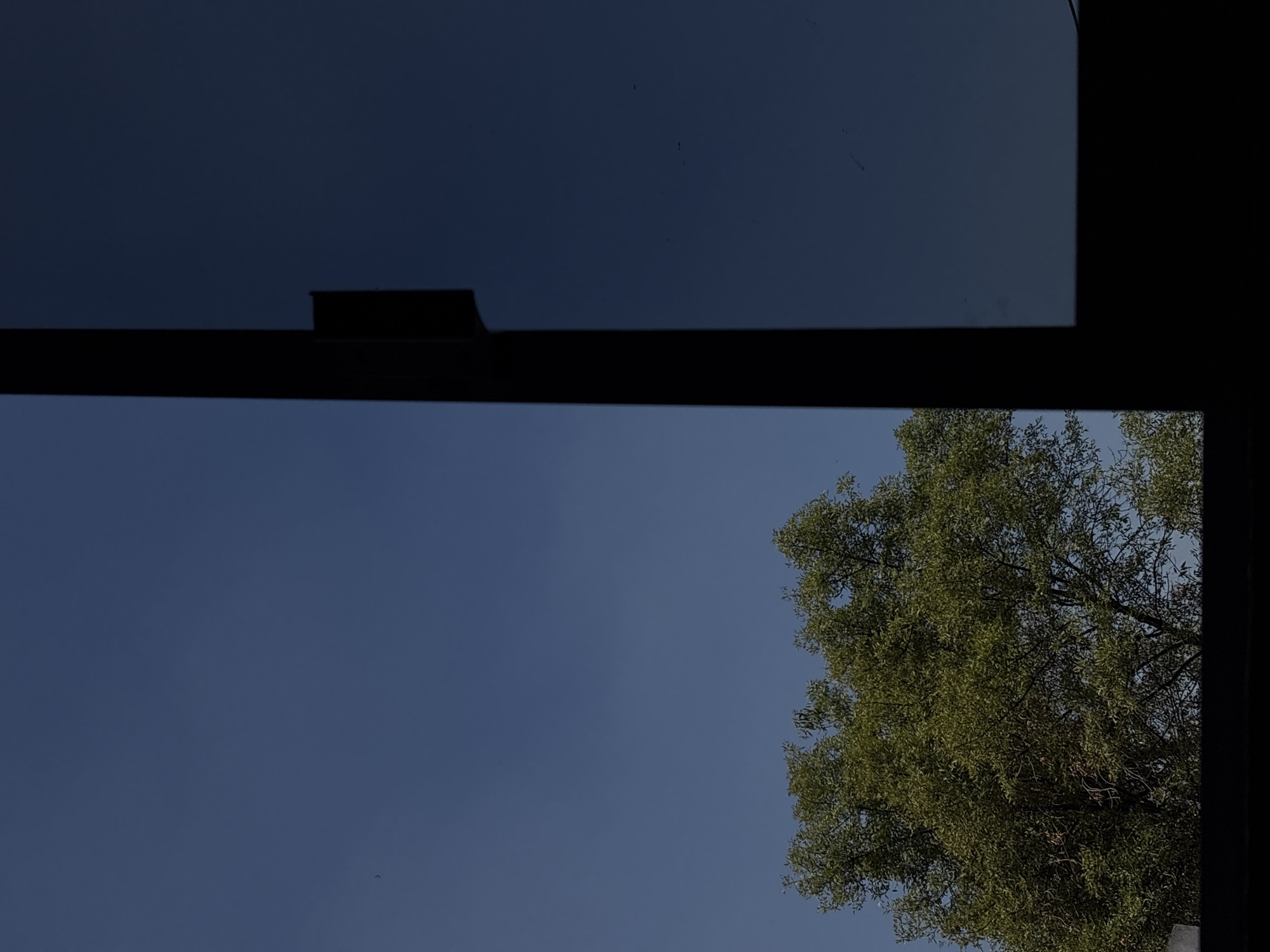 The image shows a view through an open window, revealing a blue sky and the foliage of a tree. The window frame is black and partly visible at the top and right side of the image. The location is Mexico City, Mexico.