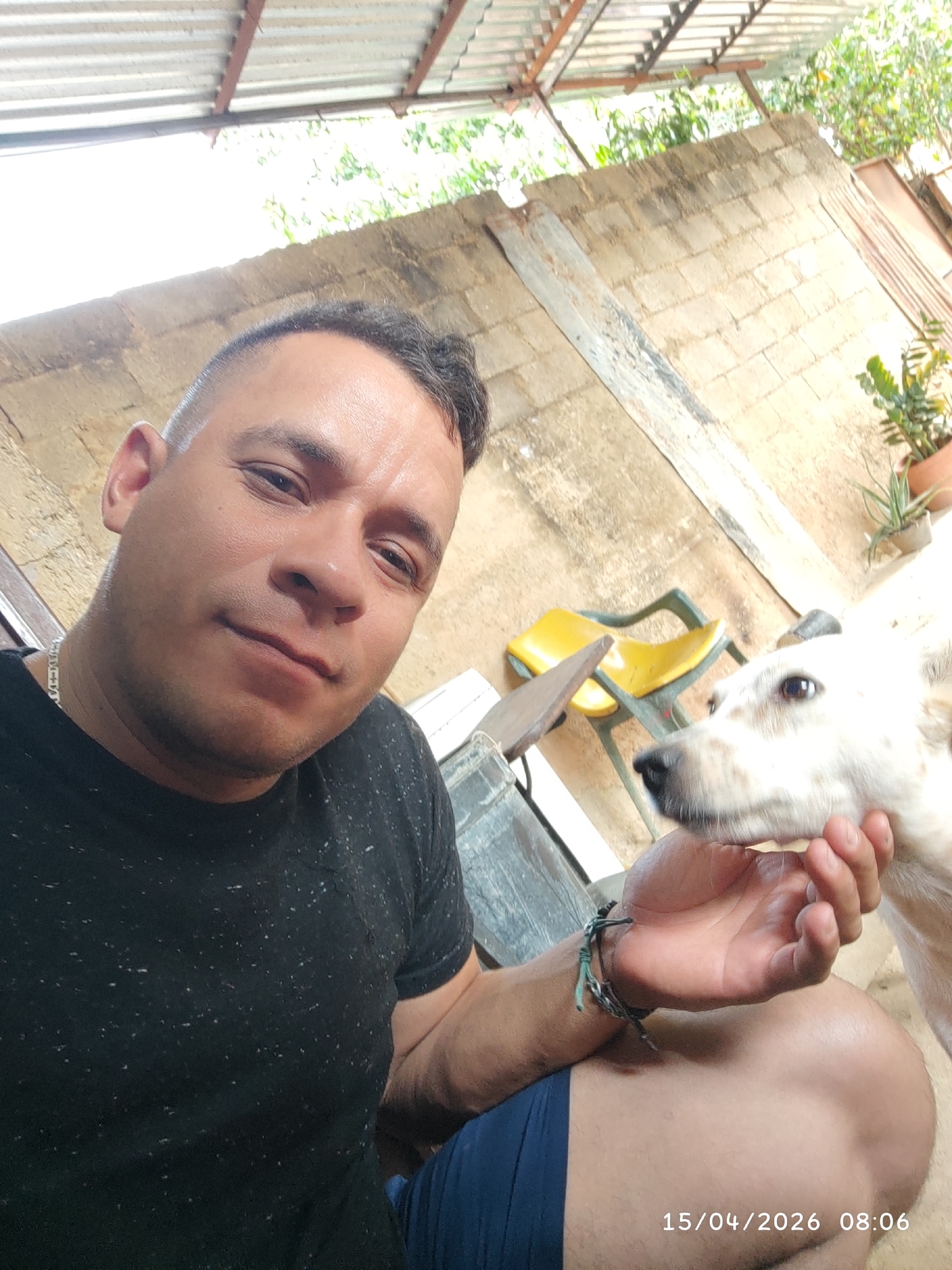 A medium-shot selfie taken in an outdoor space shows a man holding the face of a light-colored dog. The man has short, dark hair and is wearing a black t-shirt. He has a bracelet on his left wrist and a silver chain necklace. He is looking at the camera with a slight smile. The dog has a dark nose and eyes and is partially visible.
Behind the man and dog, there is a yellow and green plastic chair. The backdrop includes a light-colored concrete wall and a corrugated metal roof. In the background right there are plants in flowerpots.
The date "15/04/2026 08:06" is imprinted in the lower right corner of the image.
The location is presumably Tinaquillo, Venezuela.
