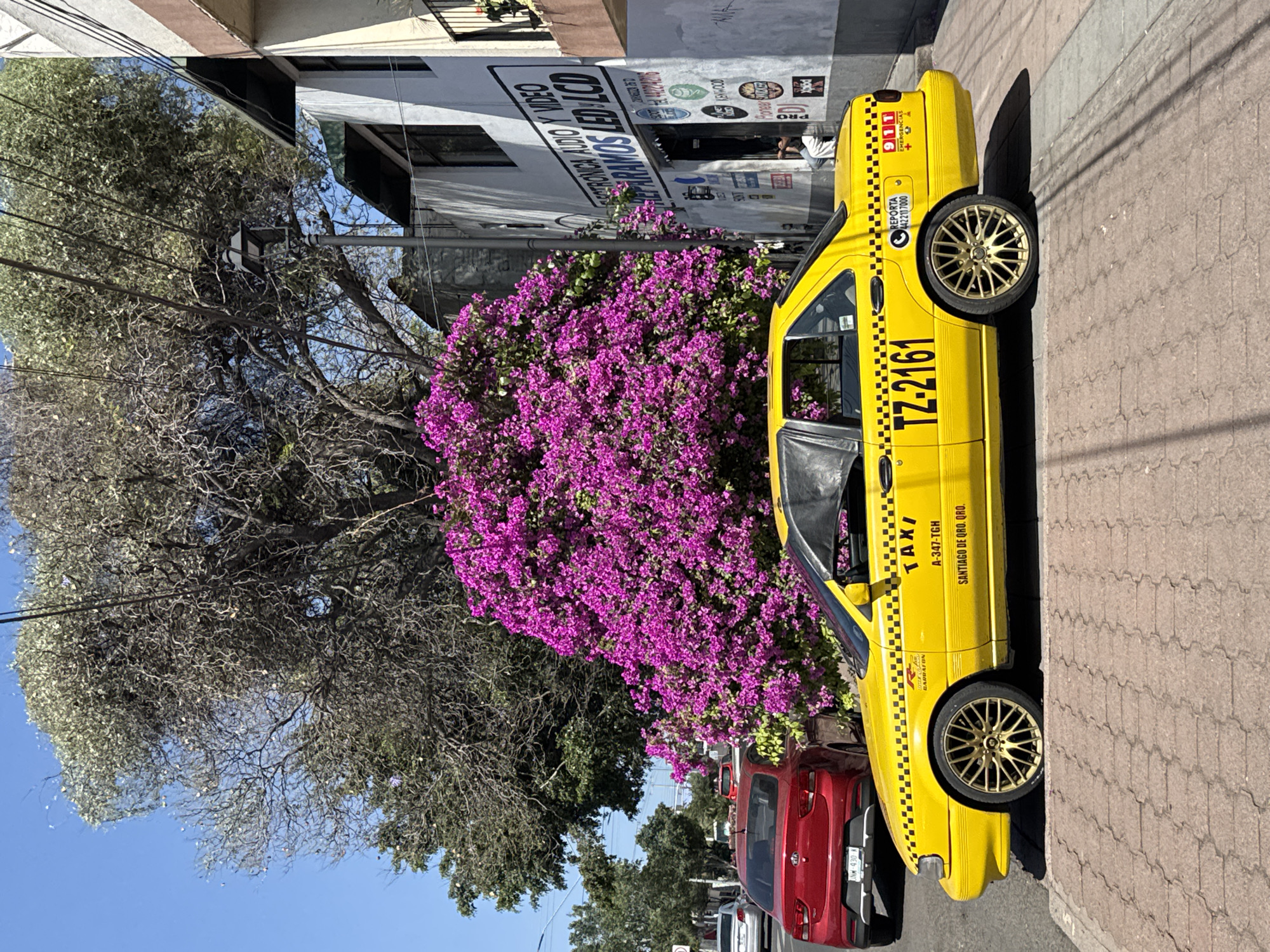 The image captures a street scene in Santiago de Querétaro, Mexico, showcasing a bright yellow taxi parked alongside a sidewalk. The taxi, bearing the license plate "TZ-2161," is adorned with checkered patterns. The identification numbers "A-347-TGH" and the word "TAXI" are clearly printed on the vehicle.
Next to the taxi is a bush in full bloom, displaying vibrant purple flowers. Parked behind the taxi is a red vehicle, with its license plate partially visible.
In the backdrop stands a building with a sign indicating "ELECTRÓNICA AUDIO Y VIDEO PIRAMOS LED LCD." The sky is clear.