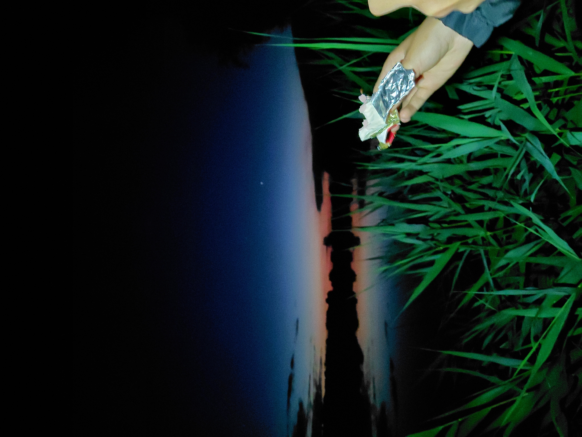 In Ustyvytsia, Ukraine, at dusk, a hand holds a partially unwrapped snack bar over a body of water. The sky transitions from a deep blue to a lighter hue near the horizon, with hints of pink and orange from the setting sun. Dark silhouettes of trees and clouds are visible against the colorful sky. Tall, green reeds grow in the foreground, obscuring the lower portion of the scene. The water reflects the colors of the sky and the dark landscape.