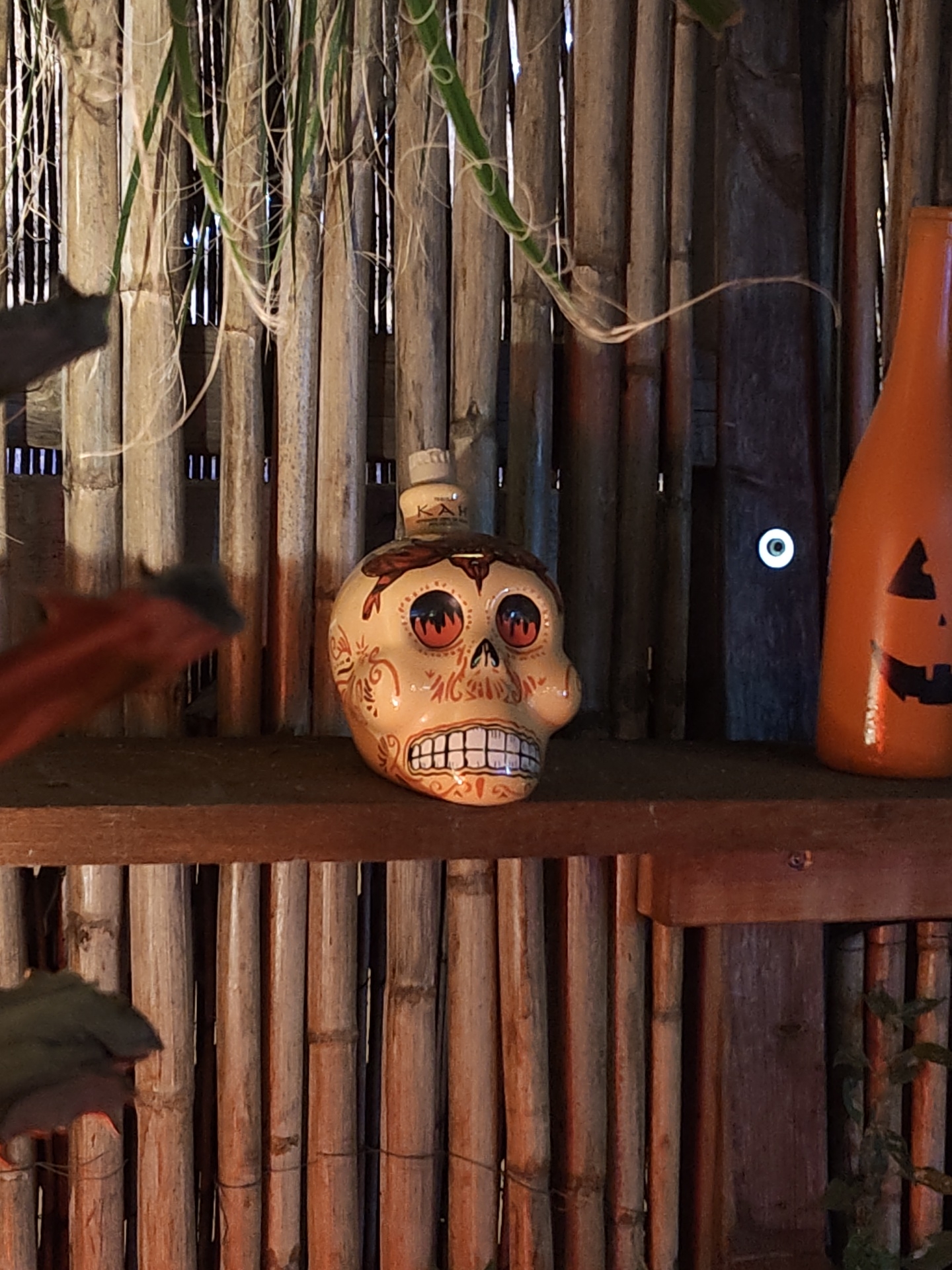 A still-life composition featuring a skull-shaped bottle with decorative designs on a wooden shelf in front of a bamboo-like backdrop, and in the city of Rotes, Spain. To the right of the skull bottle is another orange bottle with a Jack-O-Lantern face painted on it. The bamboo-like backdrop is made of vertical wooden reeds or poles, spaced apart to allow light to filter through. Some wispy tendrils hang down from above. Leaves from plants and/or branches are visible in the foreground on the left side of the image, partially obscuring the lower left of the shelf and the skull bottle. The wood of the shelf is a dark brown color. There is a round, bright spot in the wooden backdrop that may be an eyelet to secure the structure.