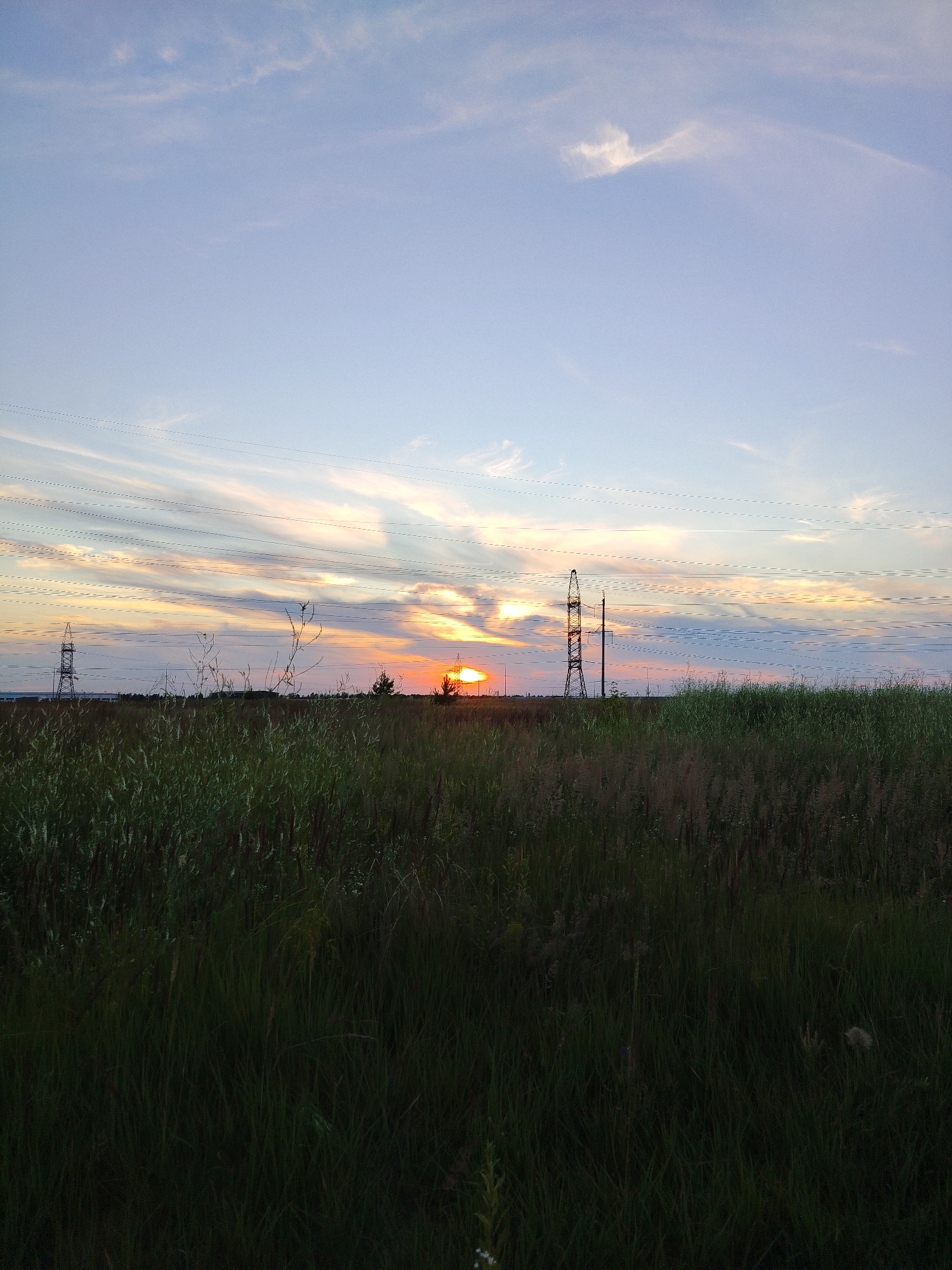 A wide shot captures a rural landscape at sunset, likely in the outskirts of Krutiye Vyselki, Russia. The sky is painted with soft hues of blue, pink, and orange from the setting sun, which is partially obscured by clouds and a distant tree. Thin, wispy clouds stretch across the sky, some appearing as faint streaks. Power lines are strung across the upper half of the frame, supported by tall, lattice-like electrical towers that punctuate the horizon.
In the foreground, a field of tall, dark green grass and vegetation stretches across the image, creating a natural, untamed foreground. The grass is dense and appears slightly out of focus, adding to the sense of depth. The overall impression is one of peaceful solitude and the beauty of a natural environment touched by human infrastructure.