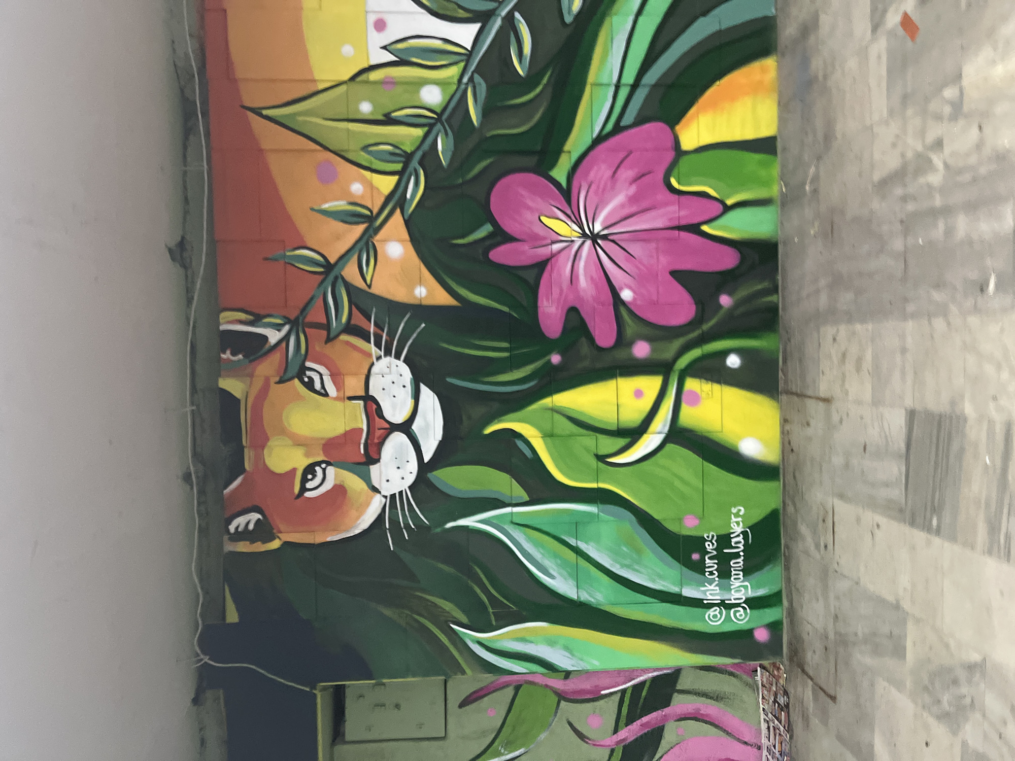 The image displays a vibrant mural painted on a wall, presented sideways. When viewed upright, the artwork features a stylized animal face, resembling a tiger or lion, peering from a dense jungle of green leaves and a large pink flower. The animal's face, primarily in shades of orange and yellow, is positioned on the left side of the mural, characterized by prominent white whiskers, a white muzzle, and dark, serene eyes.
Lush green foliage in various shades, with highlights of yellow and white, surrounds the animal, creating a tropical aesthetic. A striking pink flower with a bright yellow center is prominently featured among the leaves towards the upper right of the animal's face. The mural's background transitions from warm yellows and oranges to darker greens. The art style is bold, graphic, and illustrative, consistent with street art, and it appears to be painted on a textured surface, possibly concrete blocks, as grid lines are visible beneath the paint.
To the left of the mural, a plain, light-colored wall with a thin wire or cable running along its edge is visible. To the right, there is a textured, light-grey surface, possibly a wall or floor, showing a pattern of rectangular tiles or blocks.
No specific activity is taking place; the image is a static representation of public art. The lighting is even, suggesting daylight.
Visible text on the lower right of the mural includes two social media handles: "@ink.curves" and "@dayana.layers". The overall impression is one of a cheerful and engaging public art installation.