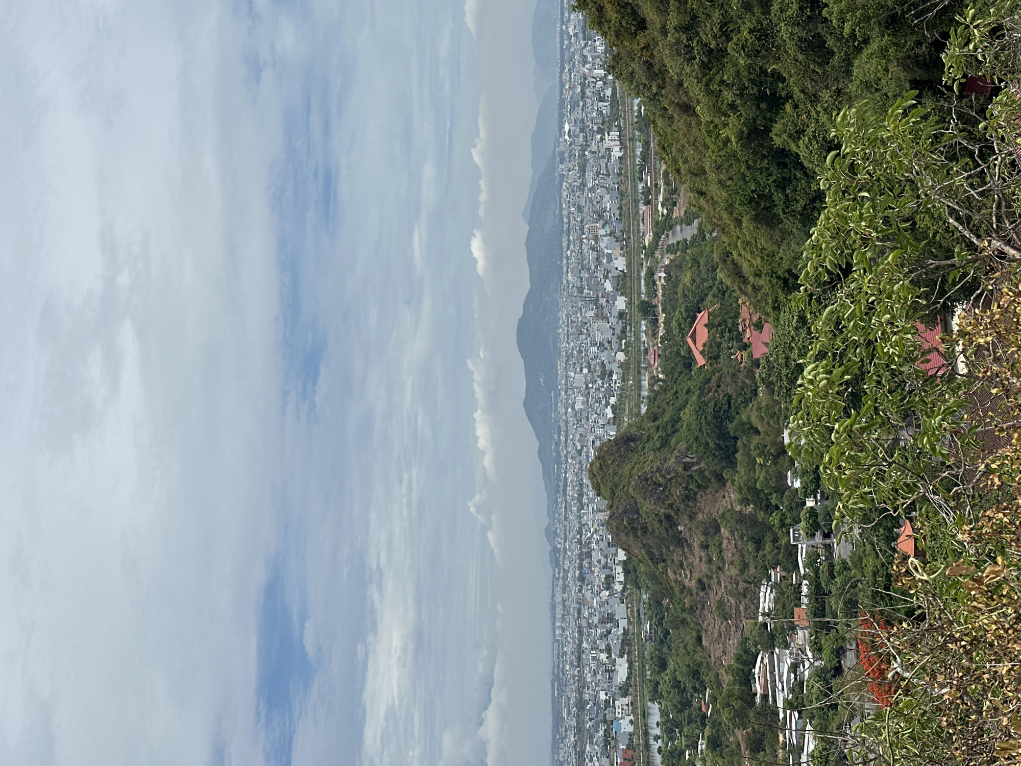 This is a wide-angle, eye-level, outdoor, high-angle landscape photograph of a coastal city in Vietnam, likely Đà Nẵng, taken on an overcast day. The foreground is dominated by dense green foliage, some of it dry and brown, with some bright red flowers visible. Behind the foliage, a cluster of buildings with red tile roofs can be seen nestled amongst the trees.
In the midground, a large, green, rocky hill rises steeply. Beyond this hill, the city sprawls out to the horizon. The cityscape consists of a dense collection of buildings, predominantly white and grey, with a mix of low-rise and mid-rise structures. A body of water, possibly a river or inlet, runs through the city. A road is also visible in the midground, winding through the greenery.
The background features a range of low, hazy mountains. The sky is overcast with thick, grey clouds interspersed with patches of lighter blue sky. The overall impression is of a humid, tropical environment with a significant urban presence adjacent to natural landscapes. There are no people or discernible actions depicted in the image. The scene is static and focuses on the panoramic view of the city and its surroundings.