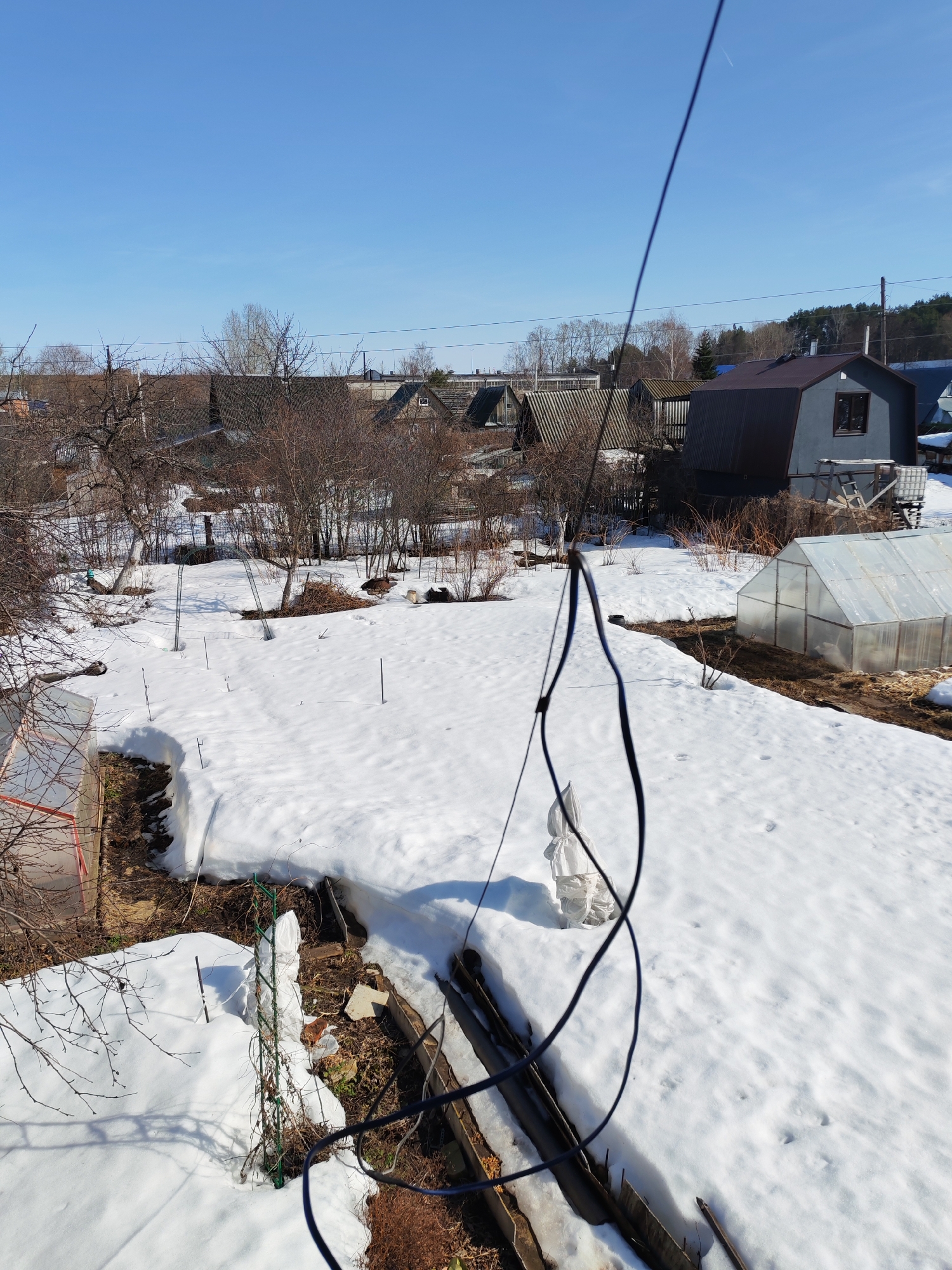 The image depicts a snow-covered backyard in what appears to be a suburban or rural area. Several houses and structures are visible in the background, including houses with dark and light roofing. There is a greenhouse on the right and another one on the left. Bare trees and bushes suggest it is late winter or early spring. The sky is clear and blue. A black cable runs vertically through the foreground. The location is likely in the city of Chaikovsky, Russia, as stated. The ground is largely covered in snow, with some patches of bare earth visible.