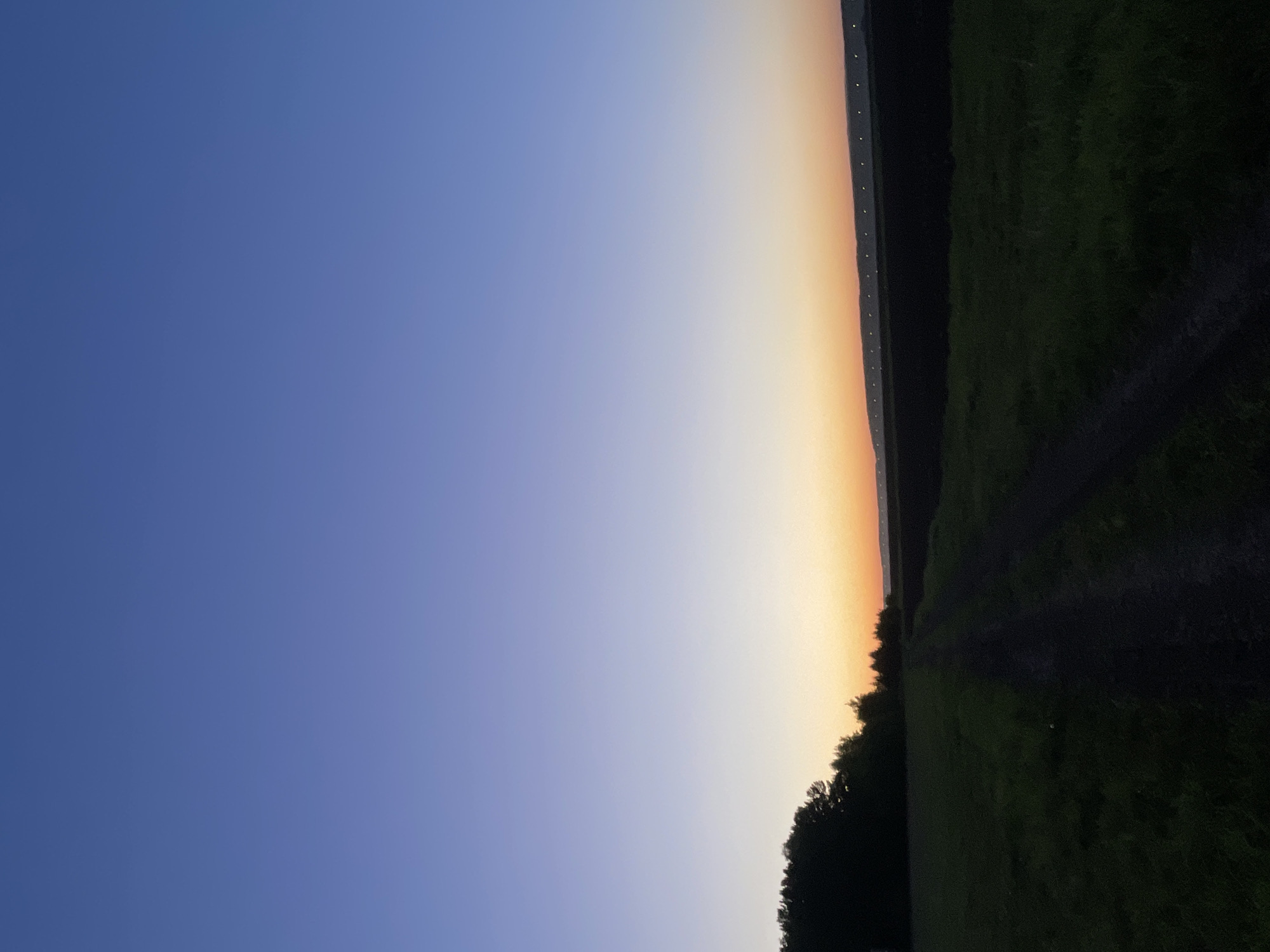 The image captures an expansive outdoor landscape at twilight, consistent with either dawn or dusk, located in the vicinity of Элита, Russia. The sky, occupying the upper two-thirds of the frame, displays a smooth vertical chromatic gradient: deep blue at the top, transitioning to a lighter blue-purple mid-sky, and concluding with a narrow band of orange-yellow light along the horizon.
A dark, undulating horizon line defines the distant landmass. On the right side of the horizon, a series of distinct, regularly spaced, small, bright yellowish-white lights are visible, indicating distant artificial illumination sources.
In the mid-ground and foreground, an unpaved dirt path or track extends from the bottom center, curving slightly leftward and receding into the distance. To the left of this path, a dense, dark silhouette of trees forms a partial treeline against the sky. The ground immediately adjacent to the path comprises open fields. The field on the left exhibits faint green coloration, consistent with grass or low-lying vegetation. The field on the right appears as a dark, uniform mass, possibly tilled earth or unlit crops. No individuals, animals, or prominent man-made structures are visible in the foreground or mid-ground.