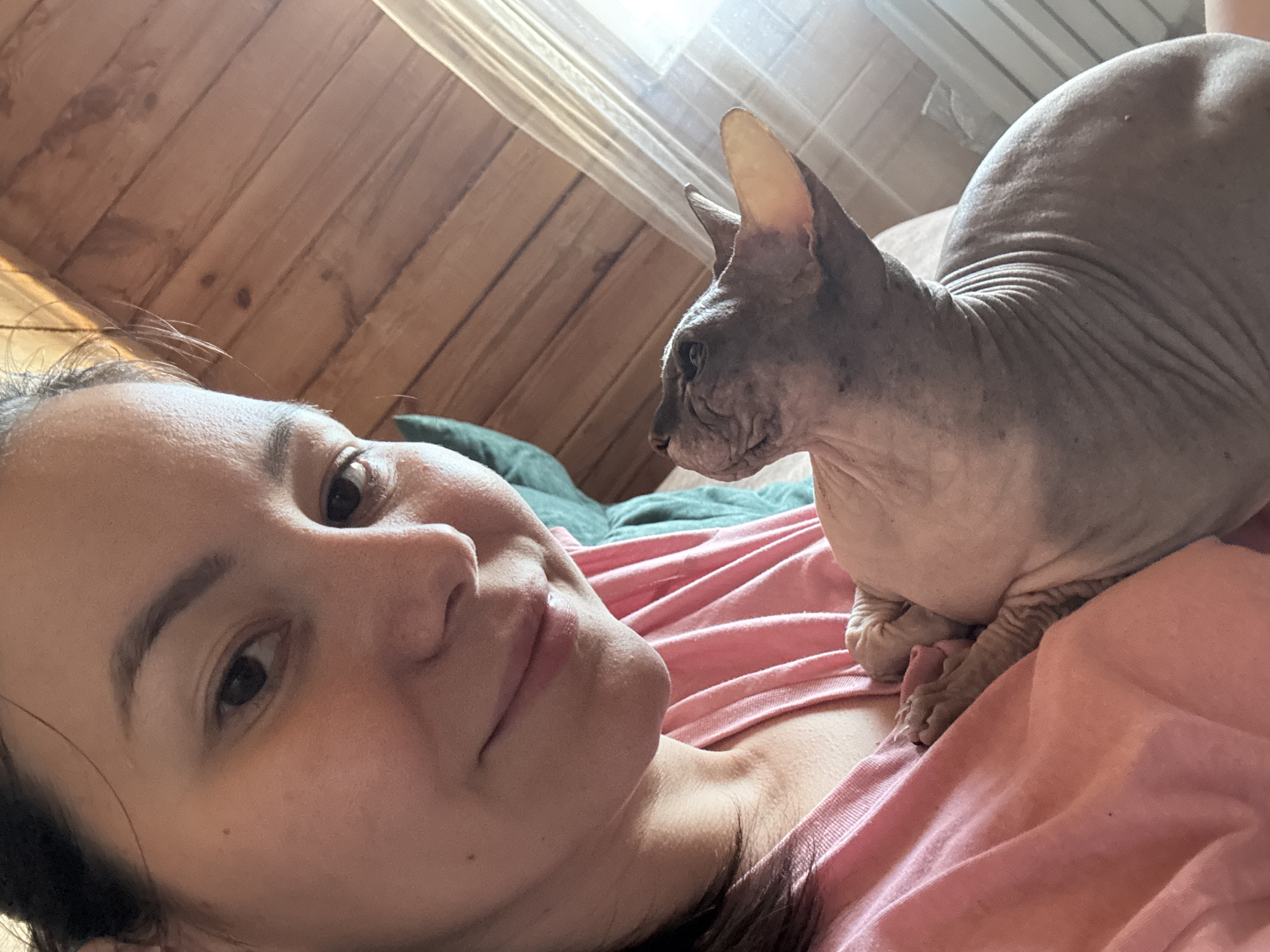 A woman, possibly in her late 20s or 30s, is taking a selfie with her Sphynx cat. She has brown hair and is wearing a pink t-shirt. The cat is grey and wrinkled, with large ears and dark eyes. It is nestled in the woman's arms, looking upwards. The background is a wooden wall and a window with white blinds. The scene appears to be indoors, possibly a bedroom, with natural light coming from the window. The location is identified as Nikolaevka, Russia.