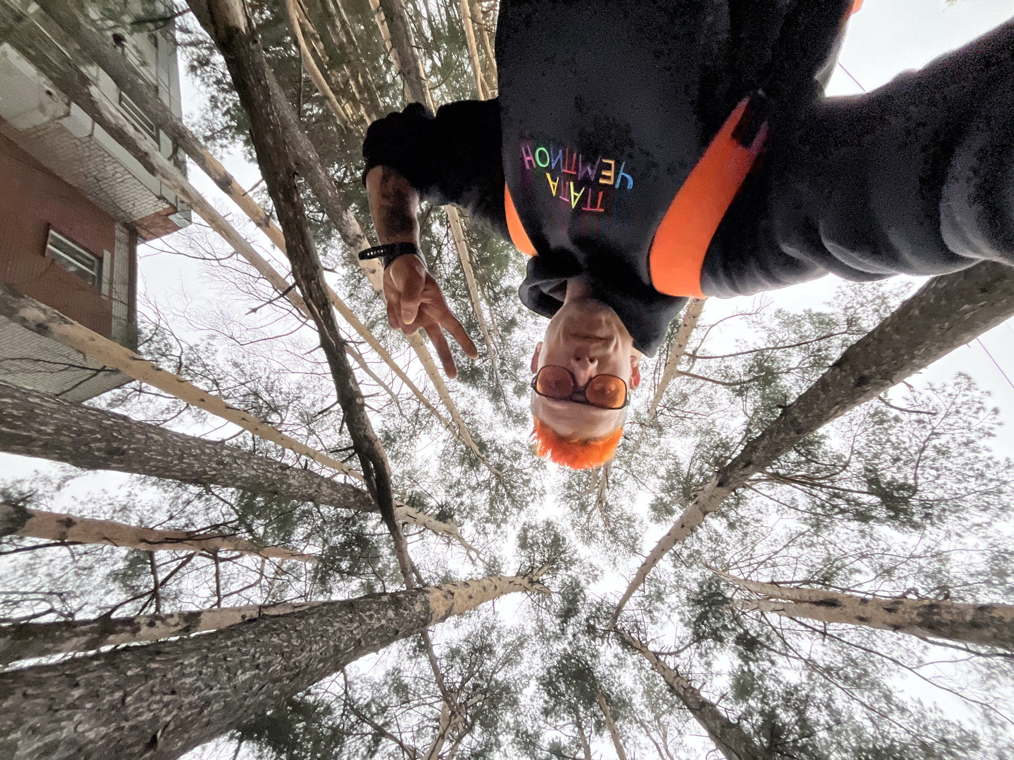 The image is a low-angle selfie, shot with the camera oriented upside down. In the foreground, a person with orange hair and glasses is visible, making a peace sign. They are wearing a black hooded sweatshirt with a rainbow-colored inscription "NEMTHON TATA" and orange accents.
The background consists of tall pine trees extending upwards, with the sky barely visible through the branches. A building is partly visible on the left edge, suggesting an urban or suburban setting.
Based on the request, the location is the city of Chaikovsky, Russia. The combination of pine trees and a building indicates the person is likely in a park or green area within the city.