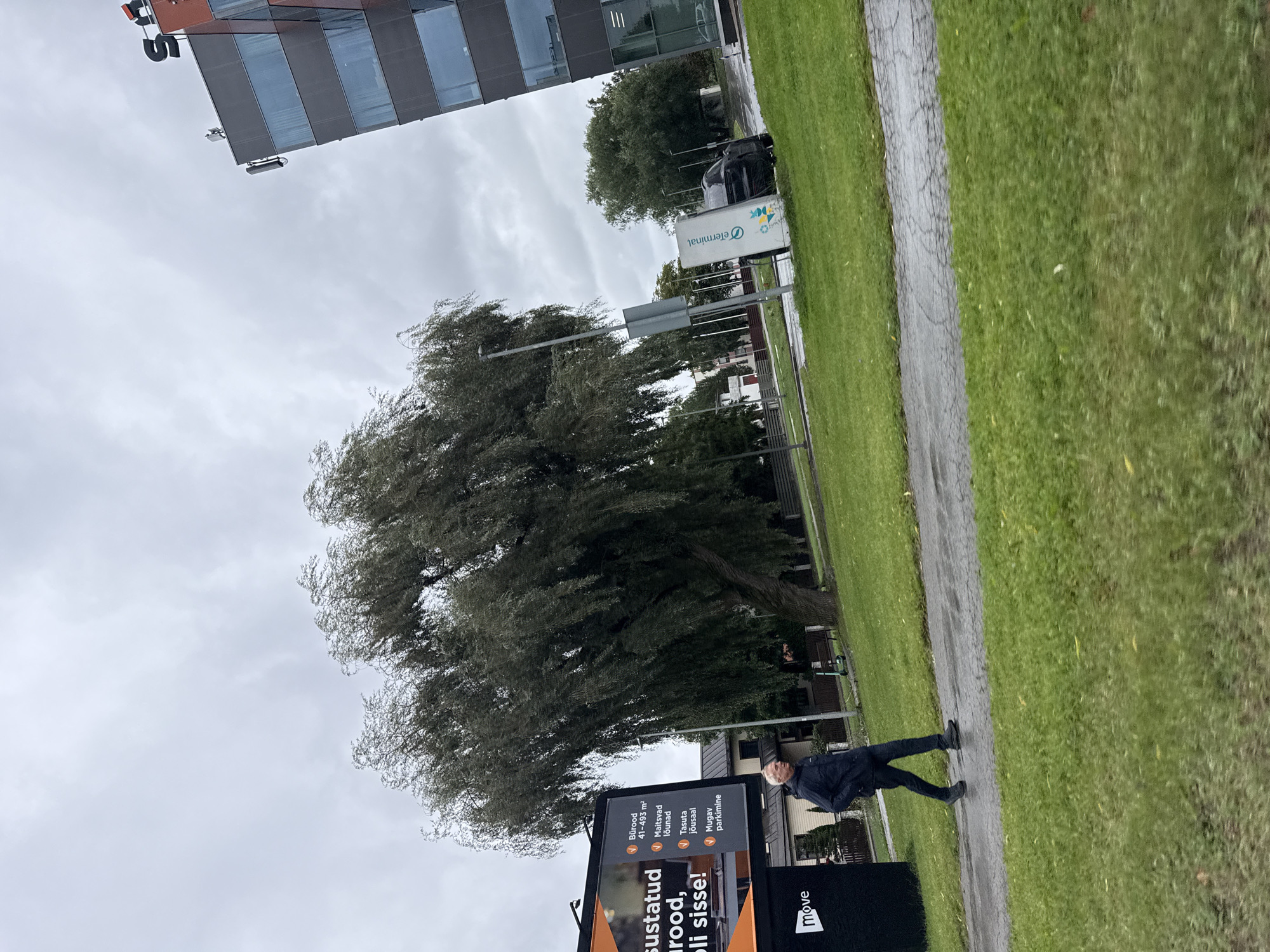 A man walks on a paved path next to a grassy area. He is wearing a dark jacket and dark pants. To his left, a large billboard displays advertisements. Behind the man and the billboard, a large, mature tree with drooping branches dominates the scene. In the background, a modern, multi-story building with glass windows stands tall. The sky is overcast, suggesting a cloudy or rainy day. A streetlamp is visible near the tree. A black car is parked near a white structure with the text "cterminal" on it. The location is in Tallinn, Estonia.
