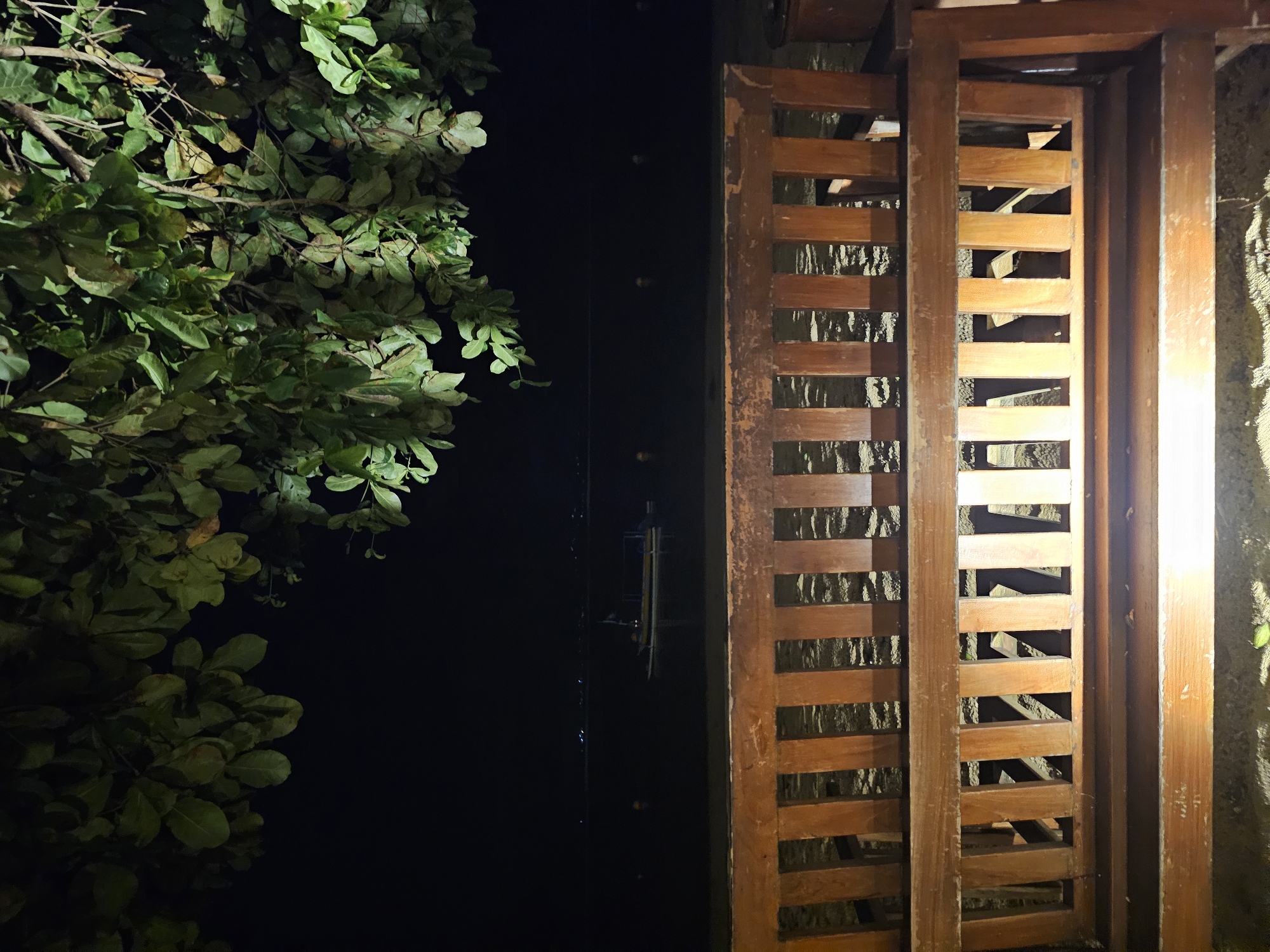 At night in Denpasar, Indonesia, a darkened body of water reflects faint light. The scene features the silhouette of a tree with leaves on the left and a wooden latticework gate on the right, partially illuminated by a nearby light source.