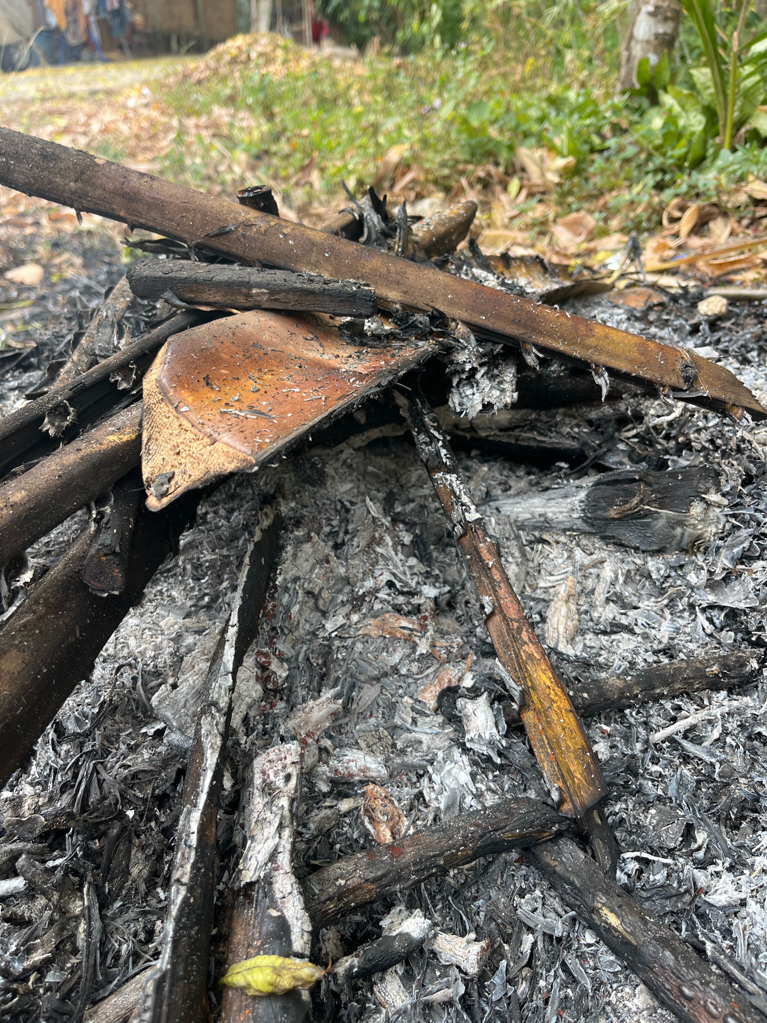 The image shows a close-up view of the remnants of a fire in Talang Kelapa, Indonesia. The scene is dominated by ash and charred wood, indicating that a fire has recently occurred. Several burnt sticks and branches are scattered across the ash. One piece of burnt material, possibly a leaf or a thin piece of bark, has a distinct brown color and appears to be partially intact amidst the grey ash. The background is blurred, showing some green foliage and dry leaves on the ground, suggesting an outdoor environment. There are no people or discernible actions depicted in the image; it is a static scene of the aftermath of a fire.