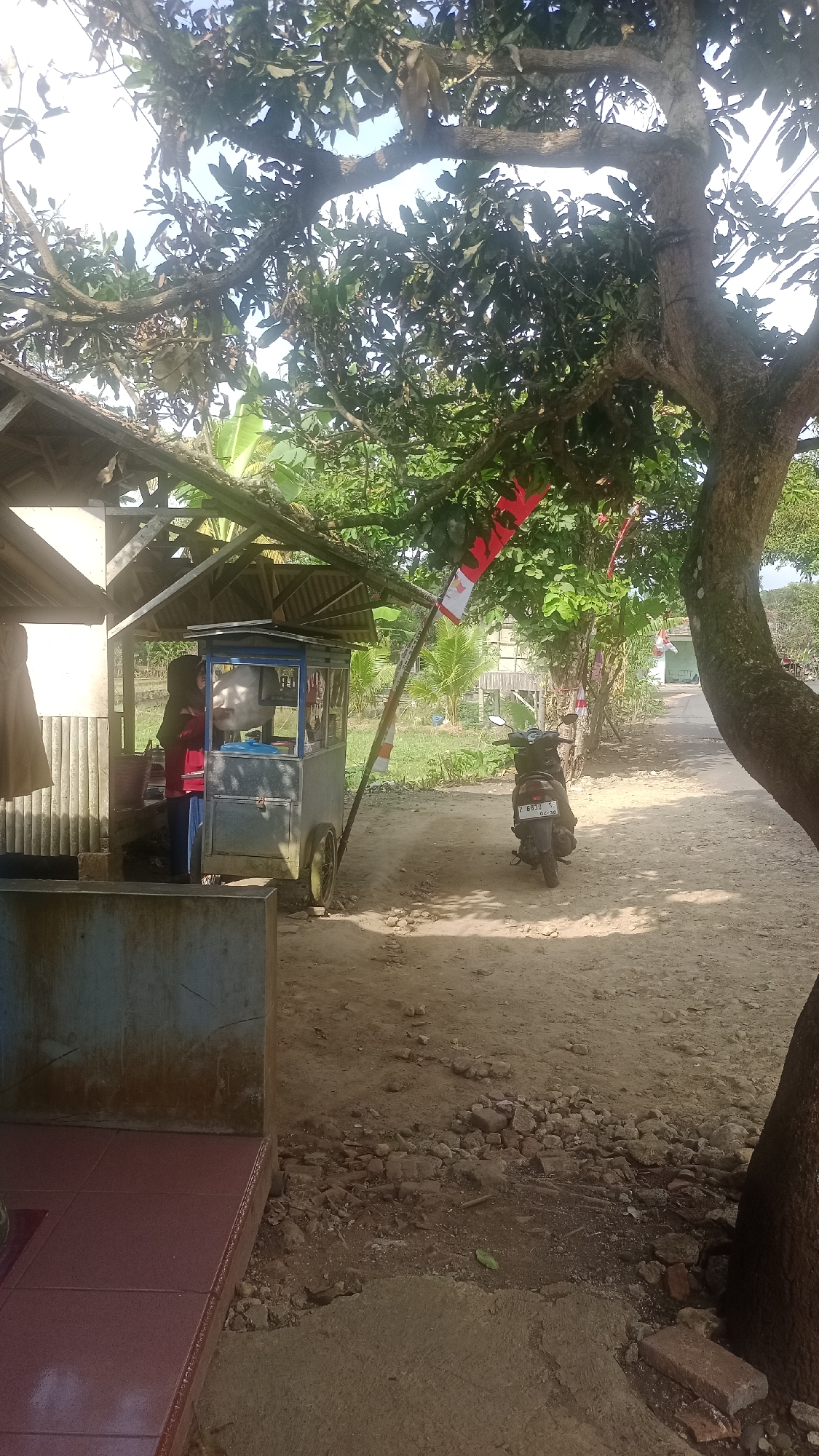In the city of Cibeber, Indonesia, this image captures an outdoor scene under a leafy tree. A small, mobile food cart with a blue and gray exterior is positioned under a simple wooden shelter, partially covered by a corrugated metal roof. A person wearing a red shirt and dark pants stands behind the cart, facing away from the camera. A black motorcycle is parked on a dirt path to the right of the cart. Indonesian flags, red and white, are strung between trees and poles, decorating the area. The ground is a mix of dirt and scattered rocks, with some concrete paving in the foreground. The background shows lush greenery and hints of buildings. The lighting suggests it is daytime, with sunlight filtering through the trees.