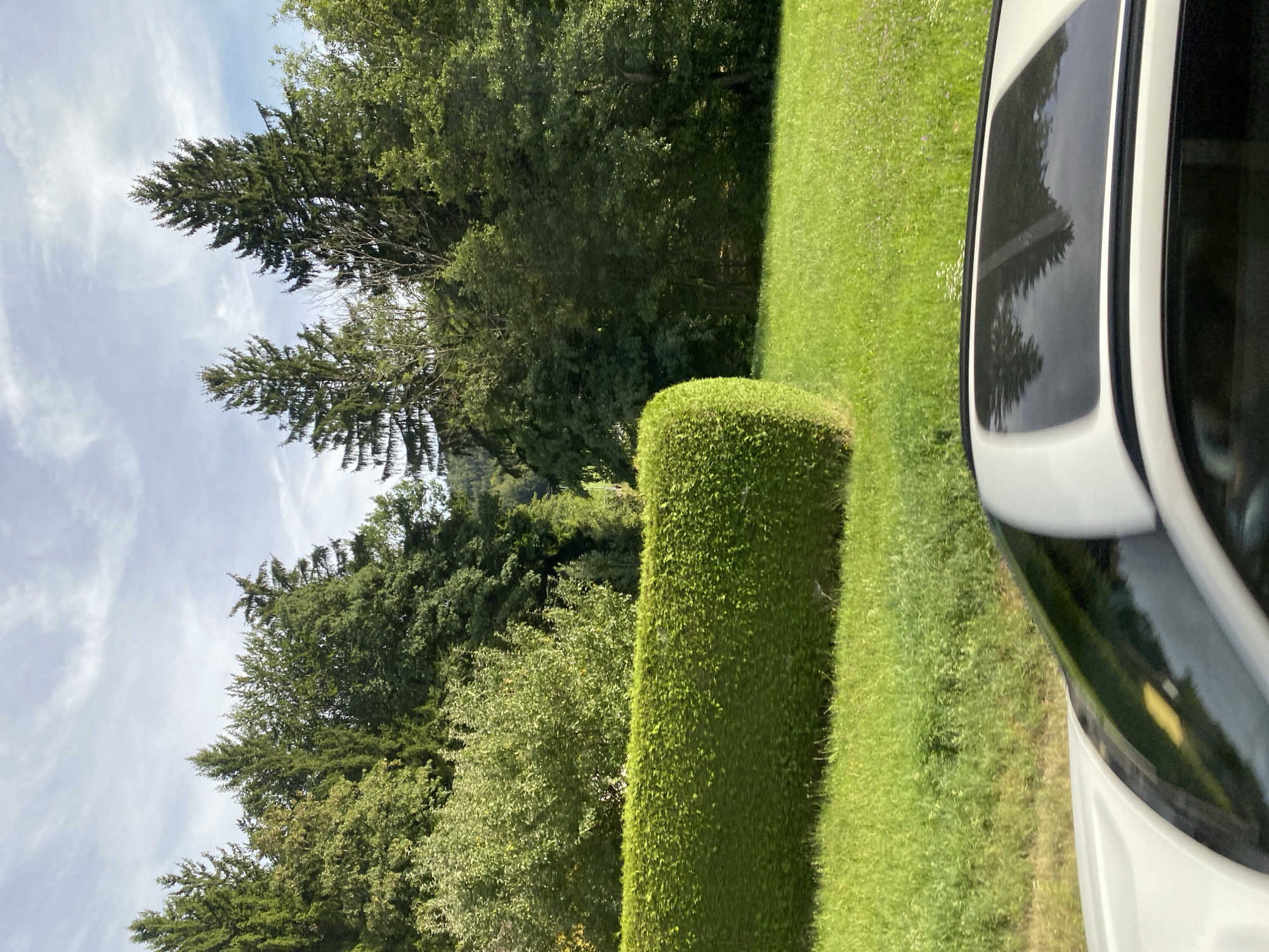 The image captures a daytime scene in Winkl, Austria, featuring a well-maintained green lawn bordered by a neatly trimmed hedge. Beyond the hedge, a dense forest of various evergreen and deciduous trees dominates the background, with some taller trees reaching towards a partly cloudy sky. The foreground shows the roof of a white car with a sunroof, suggesting the perspective is from within or alongside a vehicle. The overall impression is a serene, natural landscape.