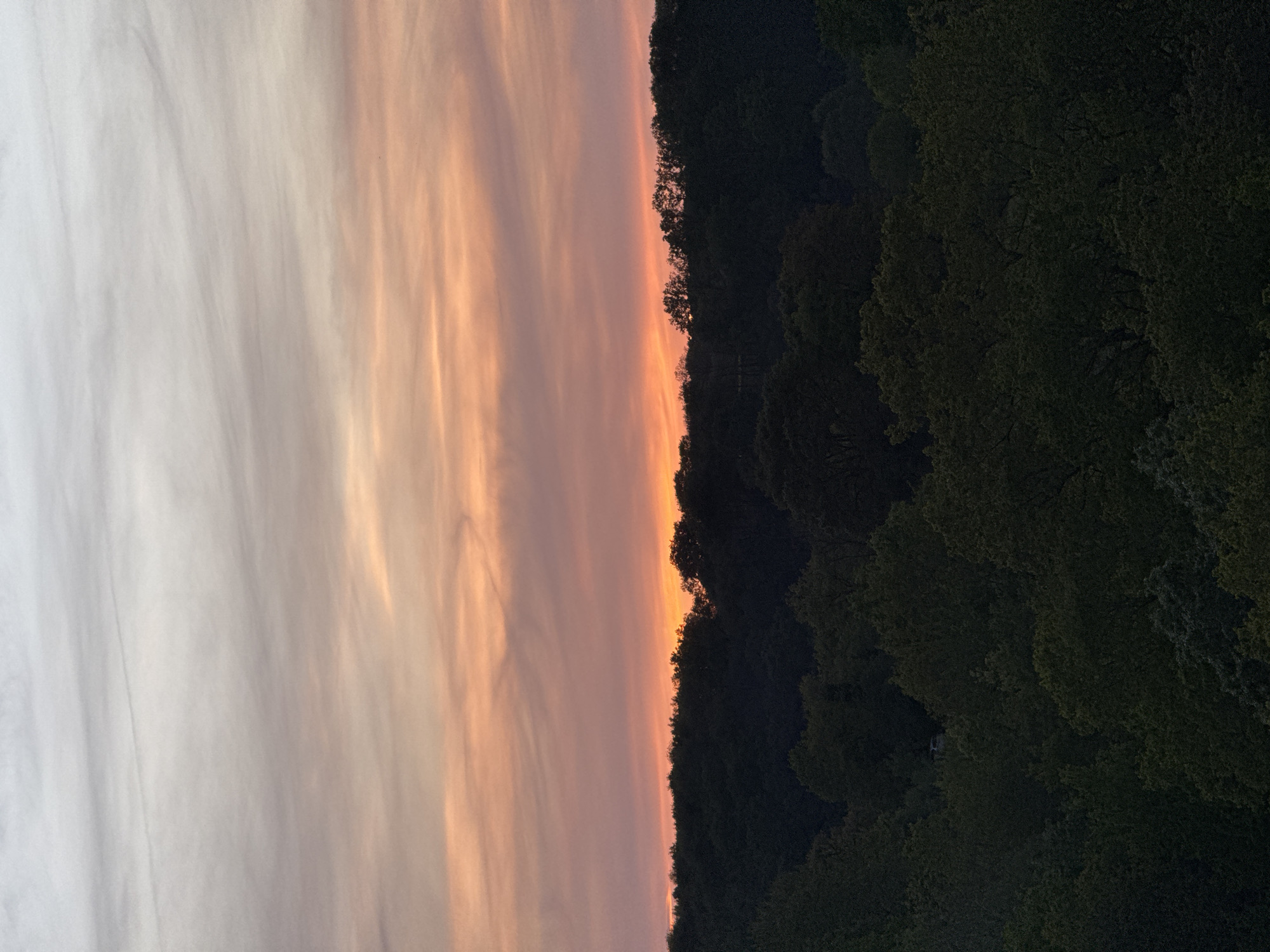 The image depicts a serene natural landscape, likely captured during a sunset or sunrise in Bures-sur-Yvette, France. The scene is bisected horizontally, with the upper portion dominated by a vast sky and the lower portion by a dense line of trees.
The sky features a striking gradient of colors. In the upper-left, the clouds are a soft, pale grey and white, suggesting higher altitude or less direct sunlight. As the eye moves towards the horizon and the right side of the image, the clouds glow with warm hues of peach, soft orange, and delicate pink, indicating the sun's low position. These clouds are wispy and elongated, stretching across the sky with a painterly quality.
Below the colorful sky, a dark, thick line of trees forms the horizon. These trees are heavily silhouetted against the bright light, appearing as a deep green-black mass. Hints of individual tree shapes and the texture of foliage are discernible, particularly along the canopy line where the trees meet the illuminated sky. The dense forest suggests a natural, undeveloped setting.
The overall impression is one of tranquility and natural beauty, characteristic of either dawn or dusk. There is no visible text in the image.