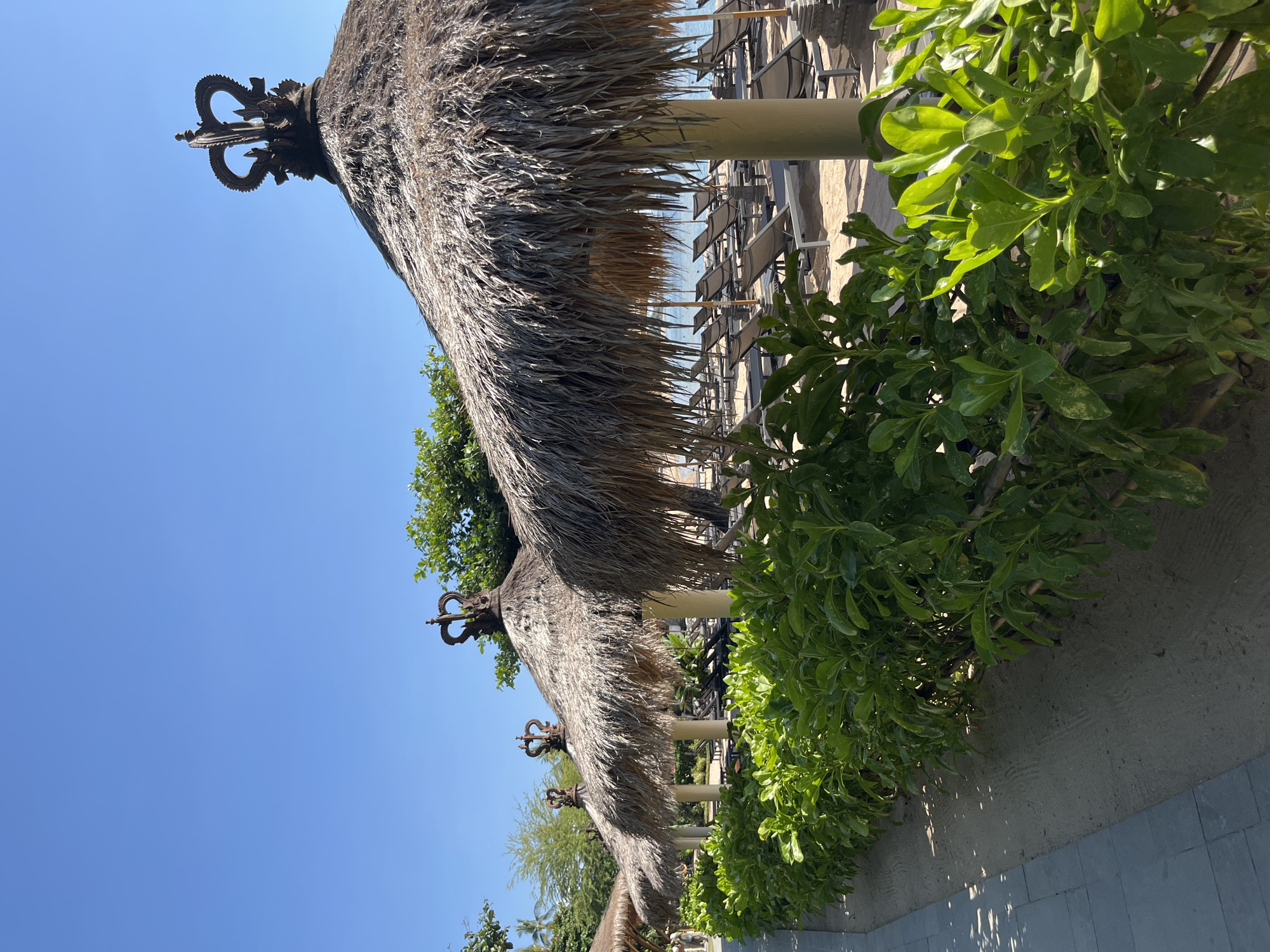 The image depicts a tropical beach resort scene in Kuta Selatan, Indonesia. In the foreground, a neatly trimmed hedge of lush green foliage runs along a sandy pathway. Beyond the hedge, a row of thatched-roof umbrellas with decorative, crown-like finials stands prominently. The umbrellas are supported by cream-colored pillars. Behind the umbrellas, numerous empty lounge chairs are arranged on the sandy beach, facing the calm, blue ocean. The sky above is a clear, vibrant blue. The overall impression is one of a serene and inviting beach setting, likely a resort area, under a sunny sky.