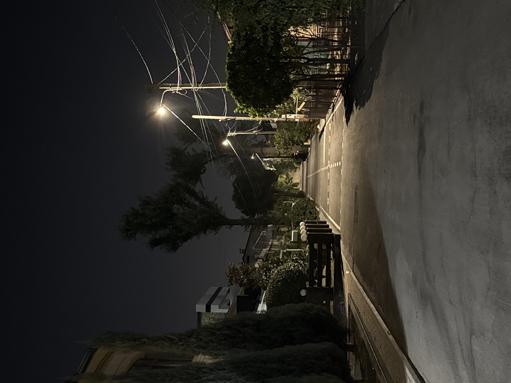 A nighttime photograph captures a quiet, paved street in a residential area of Tashkent, Uzbekistan. The street is lined with trees, fences, and houses, illuminated by streetlights. The sky is dark, indicating it is night. The perspective is from street level, looking down the road as it recedes into the distance. The road has white dashed lines marking lanes. On the left side of the road, there are tall, conical trees and the corner of a building with a curved facade. A wooden fence with spherical lights is visible along the right side of the road. Power lines crisscross above the street.