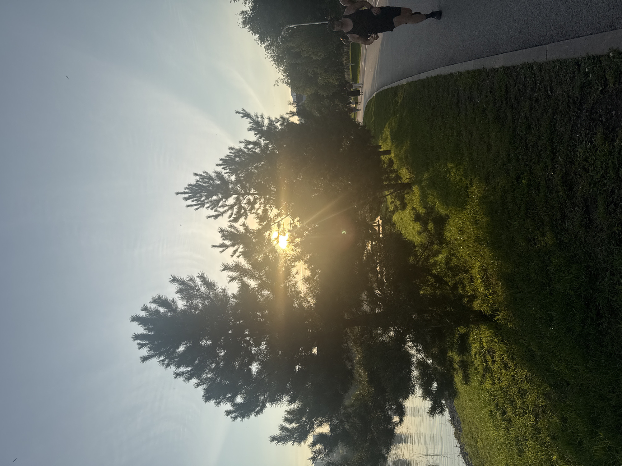 In Ufa, Russia, a runner is captured in mid-stride on a paved path alongside a grassy embankment and a body of water. The sun's rays pierce through the branches of evergreen trees, casting a warm glow on the scene. Several other individuals are visible in the background, also appearing to be engaged in recreational activities. The sky displays a gradient of light blues, with subtle cloud formations and light rays emanating from behind the trees. The overall atmosphere is one of peaceful outdoor activity during what appears to be either sunrise or sunset.