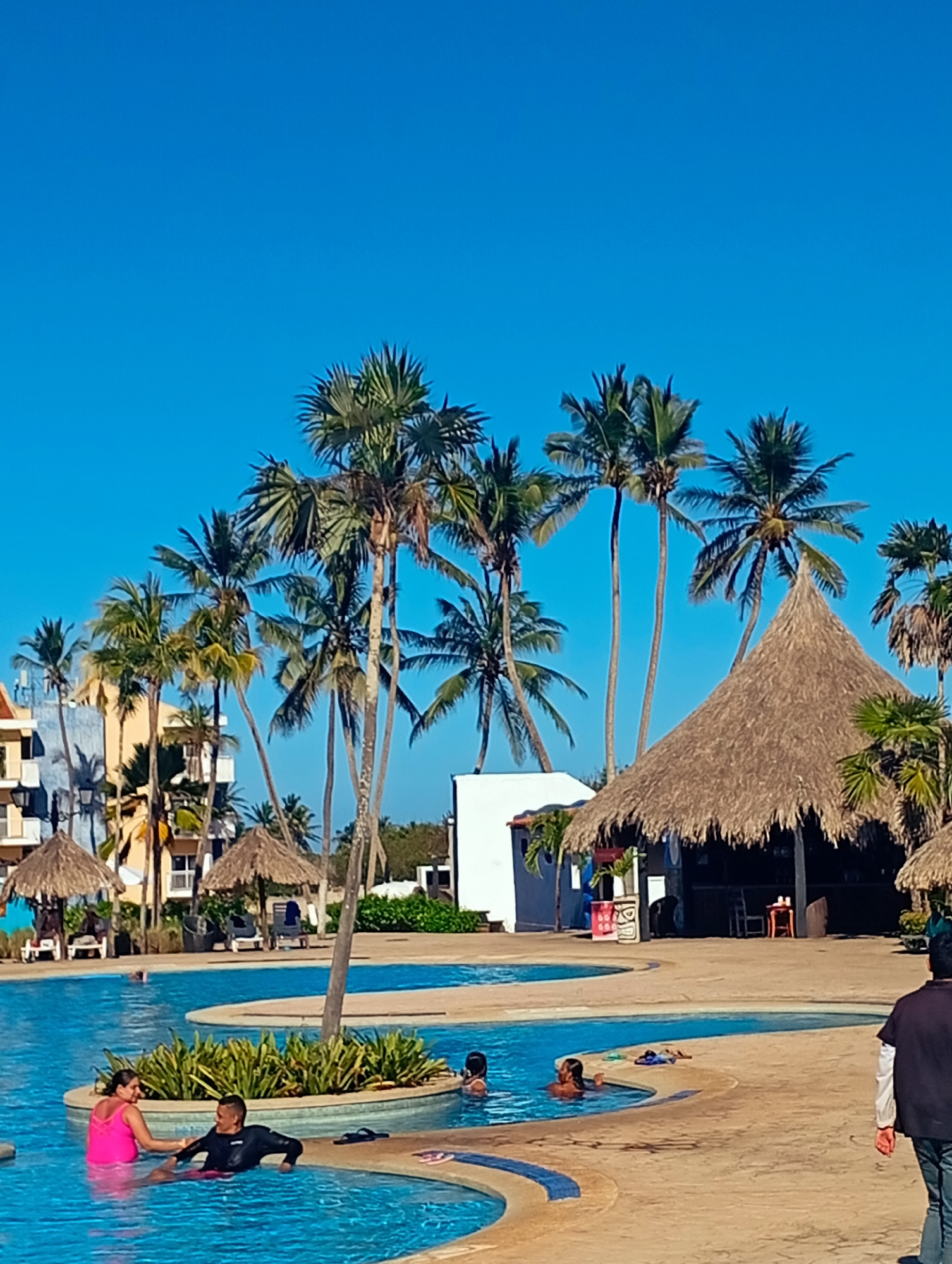 The image depicts a pool area at a resort in Playa El Agua, Venezuela, under a clear blue sky. Several palm trees are interspersed around the pool area, and structures with thatched roofs are present, likely serving as bars or shelters. People are in the pool, including a woman in a pink top and a man in a black wetsuit interacting. A man is walking away from the pool in the lower right of the image. The pool has an irregular shape with a blue tiled lining. A building with multiple stories is visible in the background. There is dense greenery and other resort amenities around the pool.