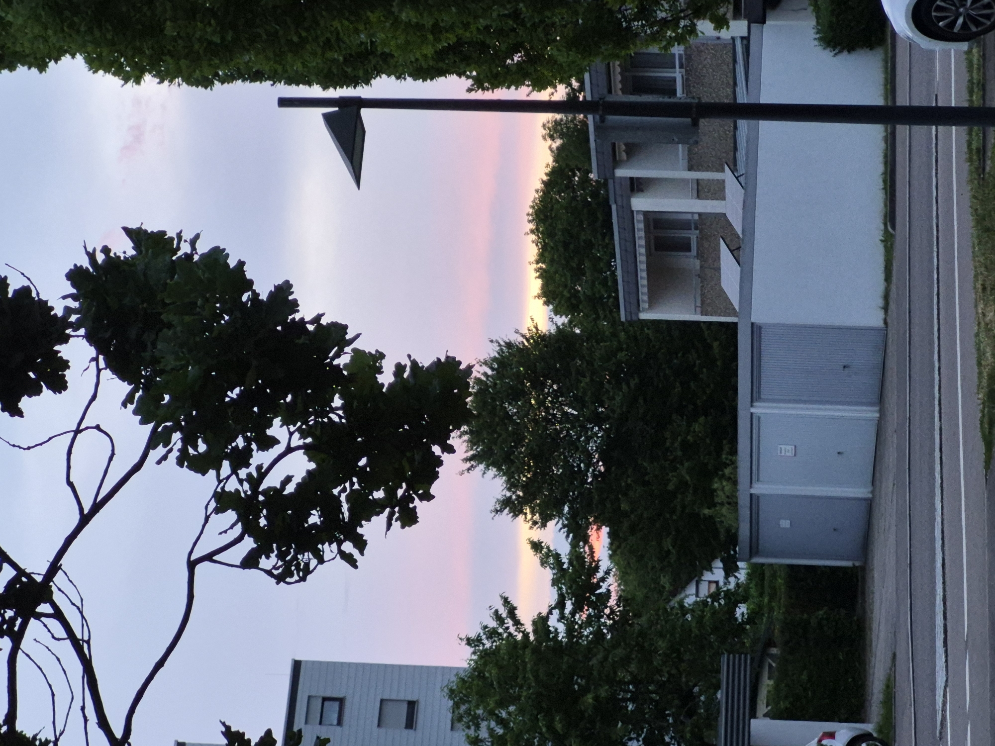 The image depicts an outdoor scene, possibly in a residential area, at dusk. The sky displays a gradient of soft pink and yellow hues, suggesting a sunset or sunrise. Silhouetted against the sky are the dark branches of a tree in the foreground, some of which have green leaves. To the left, a portion of a tall, light-colored building with multiple windows is visible. In the mid-ground, a row of garages with grey doors is present, with solar panels mounted on the roof of the structure behind them. A lamppost stands to the right of the garages. Lush green trees and foliage are scattered throughout the scene, adding to the natural element. The foreground shows a street with a pedestrian crossing and the edge of a white car on the right. The overall impression is one of a calm and serene evening in an urban or suburban setting.