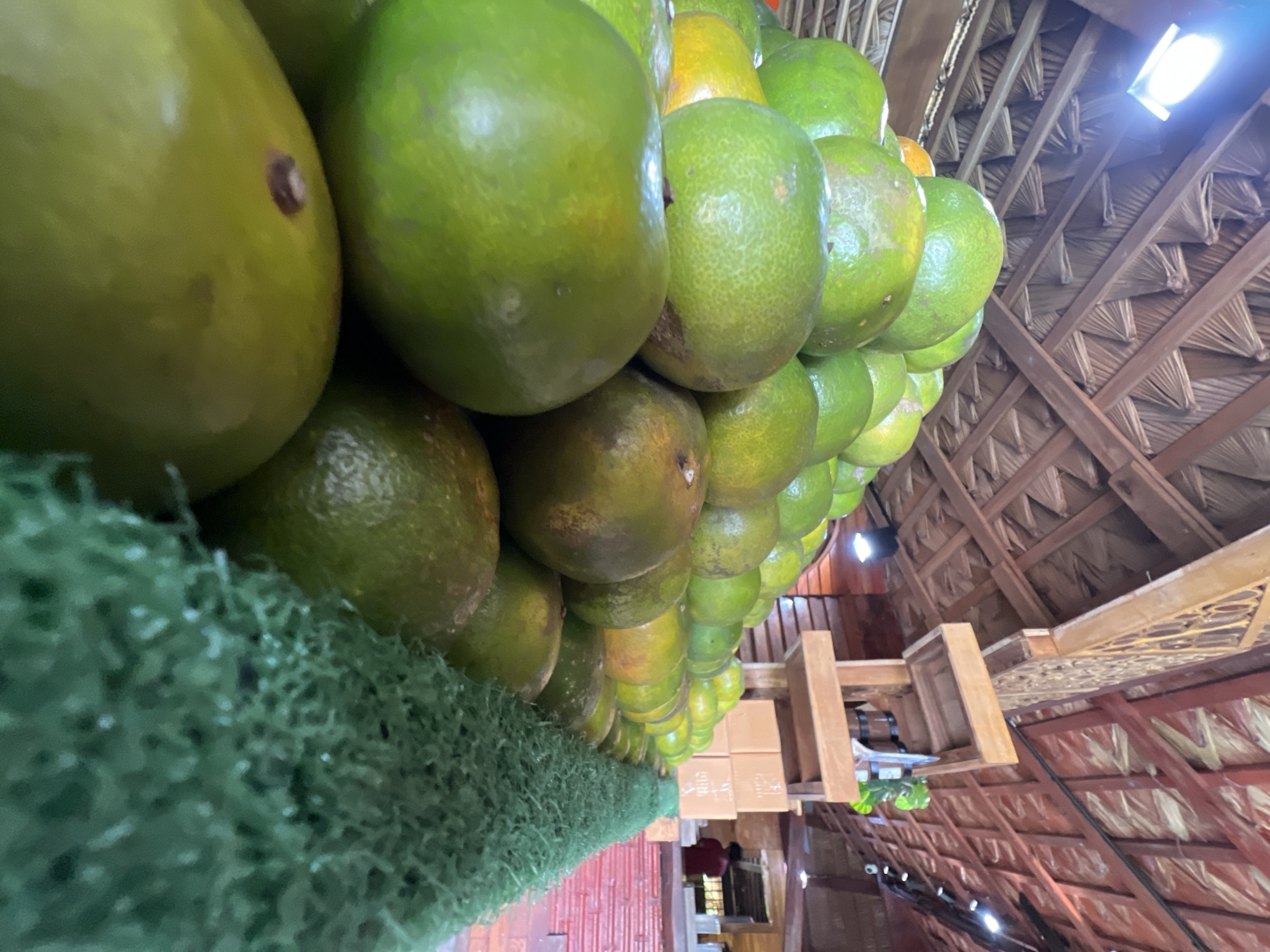This media file captures a close-up view of a large pile of green oranges, possibly limes or unripe oranges, arranged in a market setting. The fruits are stacked high, with some in the foreground showing blemishes and variations in color, indicating they are natural produce. A coarse, green material, possibly netting or a mat, runs along the bottom left of the frame, suggesting a display or packing method.
The background reveals a rustic thatched roof structure, characteristic of a tropical location. Wooden beams and decorative wooden elements are visible, along with what appears to be artificial lighting. In the distance, several cardboard boxes are stacked, hinting at commercial activity. A glimpse of a person in dark clothing is visible in the far distance, suggesting human presence within the market. The overall impression is that of a vibrant, natural produce stall in Tambon Pa Kae Bo Hin, Thailand, likely during daylight hours given the lighting conditions. No legible text is visible in the image.