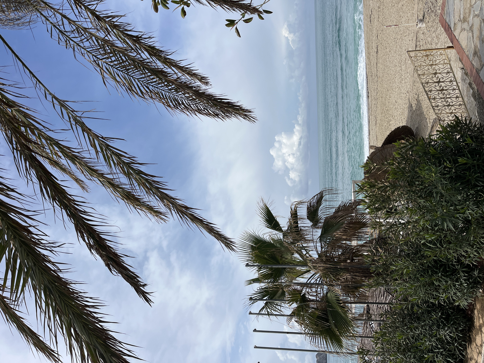 The image presents a beach scene in Alanya, Turkey. The foreground features the fronds of two palm trees against a partly cloudy sky, one with dry brown foliage and the other with green. In the middle distance, a sandy beach meets the turquoise-colored sea with visible waves. The beach adjoins a structure, seemingly a hotel or residence, denoted by a section of ornate metal railing and vegetation. Sun umbrellas and bushes are visible on a raised area between the beach and a partially visible building. The image is taken from a low-angle perspective.