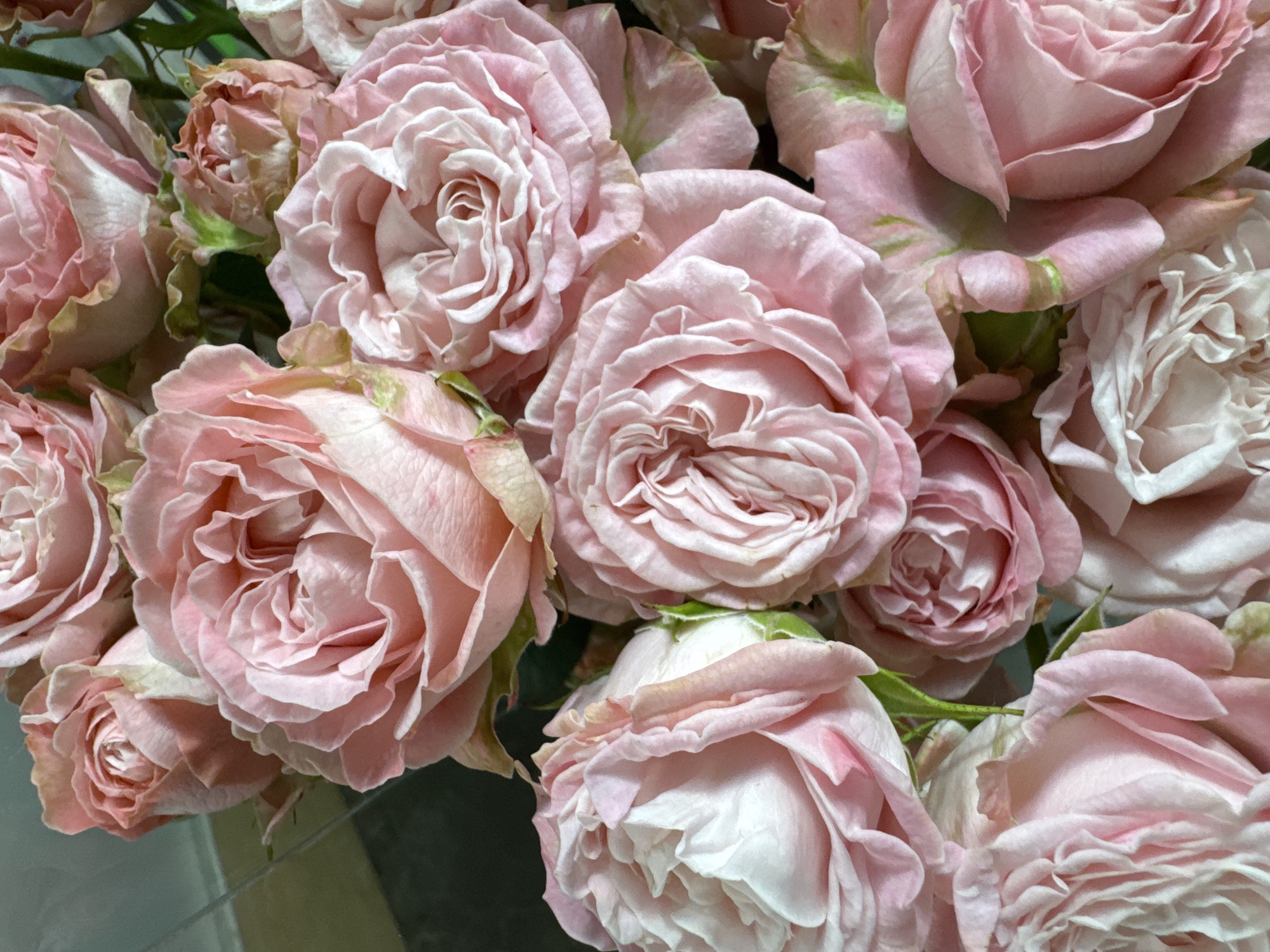 A close-up, overhead shot shows a bouquet of delicate pink roses. The petals are layered and ruffled, with some showing subtle variations in color from pale pink to a deeper blush. The lighting highlights the soft texture of the flowers, casting gentle shadows. The background is dark and out of focus, making the roses the sole subject of the image. There is no discernible information about the city of Kamianske, Ukraine, or any people or actions within the scene.
