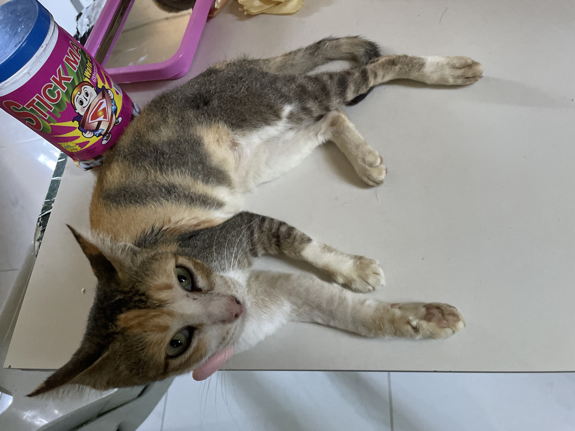An overhead, medium shot captures a calico cat lying on a light-colored, tiled surface. The cat is oriented vertically in the frame, with its head at the top and its paws extending downwards. Its fur displays a mix of orange, black, and white markings. To the right of the cat's head, a bright pink cylindrical object with cartoonish graphics and the text "STICK MA" is visible, suggesting it might be a candy or toy container. A portion of a pink plastic mirror frame is also present on the right side of the image. The background is slightly out of focus, showing a light-colored floor and a hint of a chair. The lighting appears to be artificial, casting soft shadows.