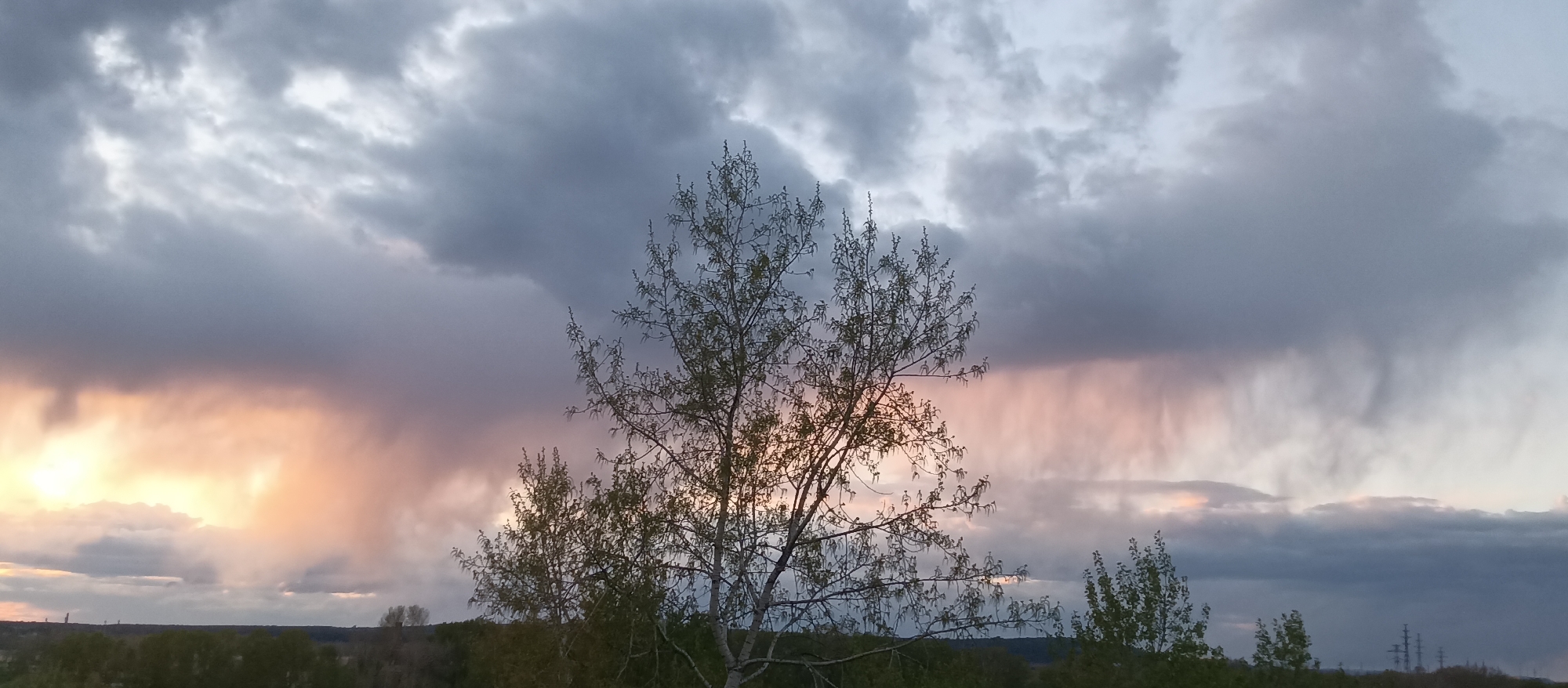 The image captures a landscape with a focus on the sky and trees. Above a line of dark green trees is an array of clouds. The clouds range in color from dark gray to lighter hues. In the middle of the frame, three trees stand. The leaves are budding, indicating the beginning of spring. The sky behind and around the trees is illuminated with colors, suggestive of a sunset or sunrise. A faint rainfall is coming from a cloud on the right. No people are visible. The location is Unknown, Unknown.