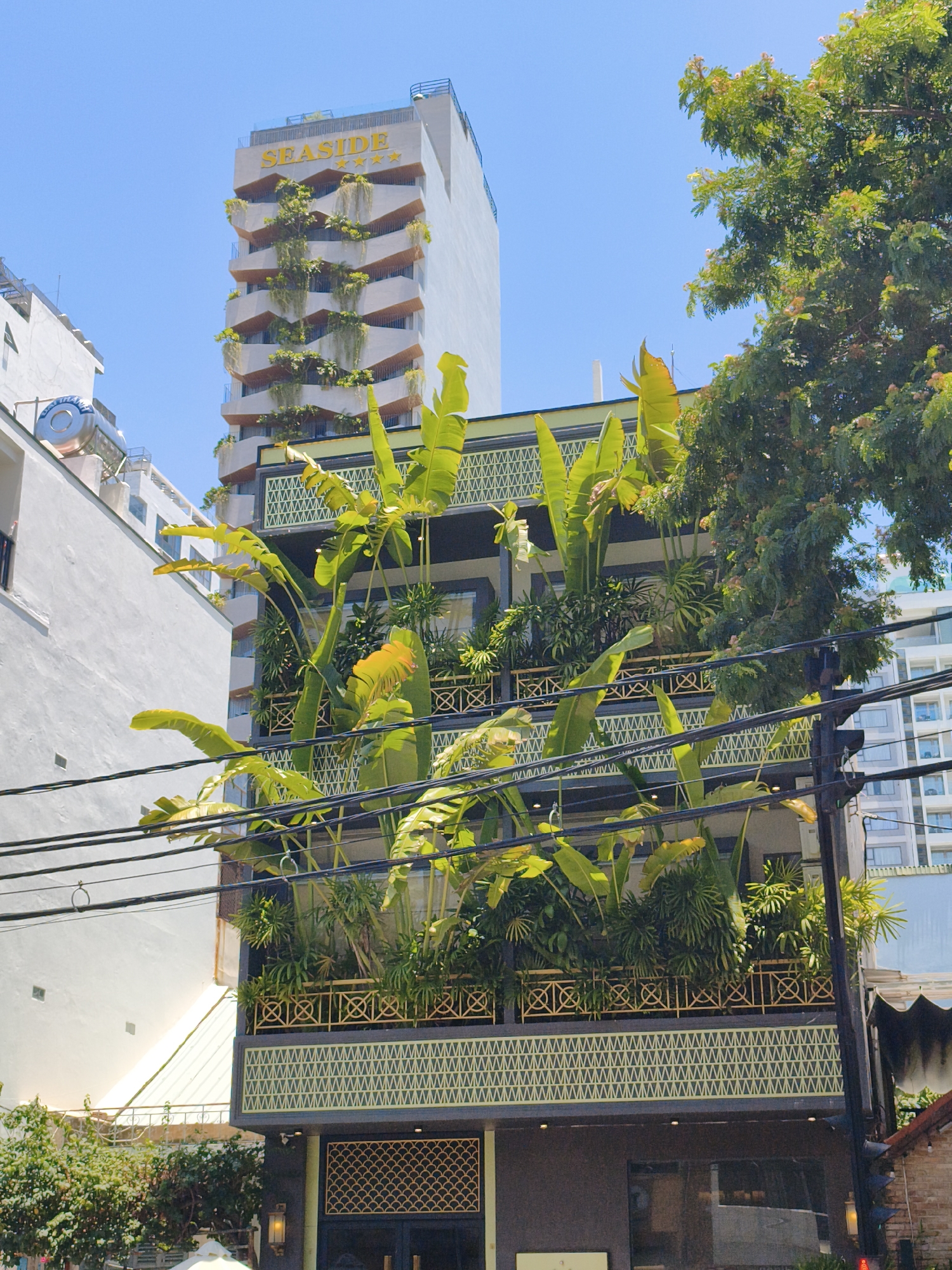 A medium shot captures a building facade in Nha Trang, Vietnam, featuring lush greenery cascading down its exterior. The building, identified by a sign reading "SEASIDE" with four stars, is a modern high-rise with balconies adorned with plants. Banana leaves and other tropical foliage are prominent, creating a vibrant, vertical garden effect. The building's architectural details include decorative metalwork and patterned facades. In the foreground, electrical wires stretch across the frame, partially obscuring the view of the building and a tall, leafy tree on the right. The sky is clear and blue, indicating a sunny day. No people are visible in the frame. The scene is a blend of urban architecture and natural elements, characteristic of a tropical city.