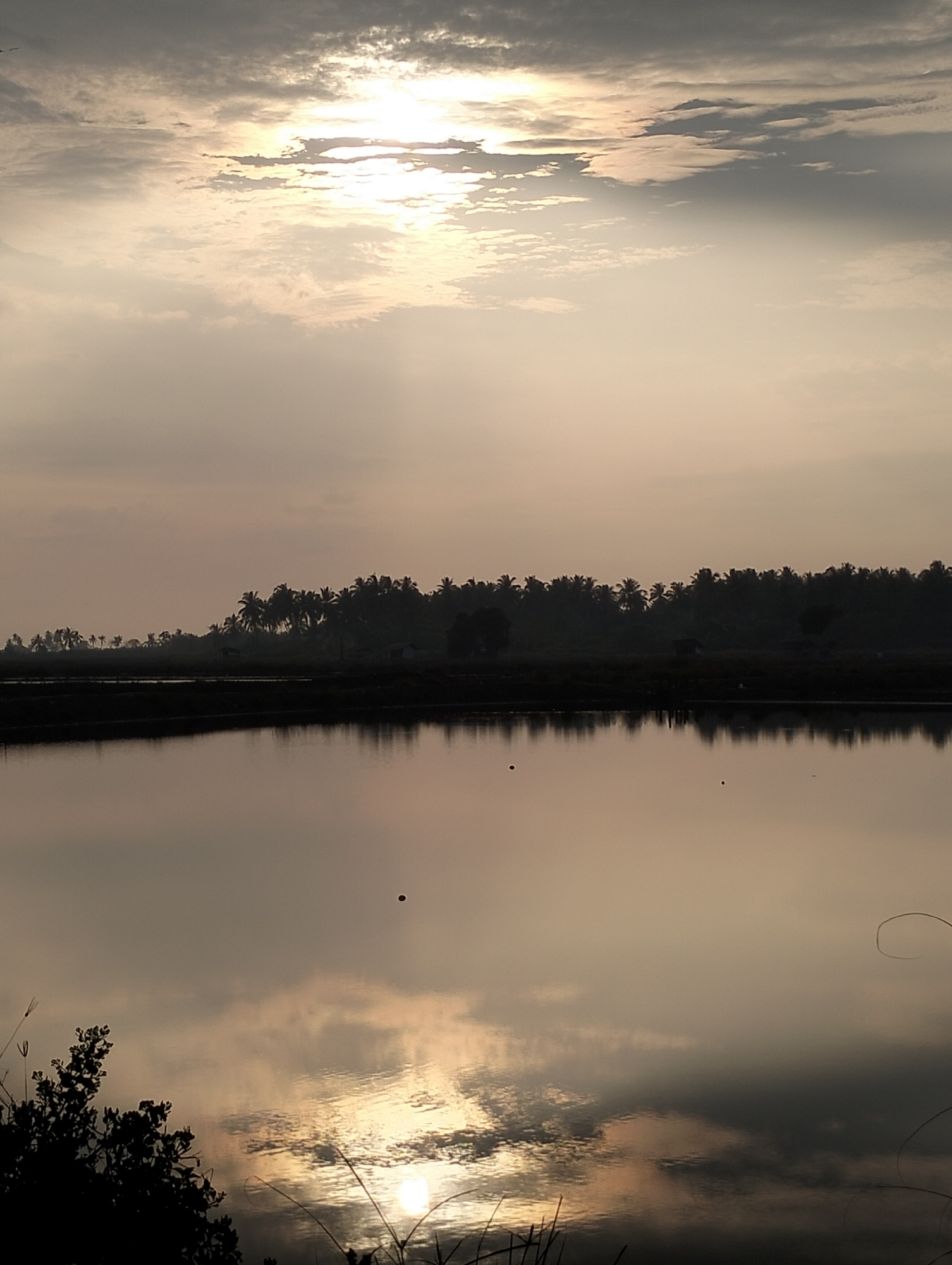 The image depicts a tranquil landscape at what appears to be sunrise or sunset in Nasebarat, Indonesia. A body of water occupies the foreground, reflecting the sky and surrounding vegetation, which suggests it is likely a part of the rice fields or a shallow body of water used for irrigation. The reflection of the sun and clouds is visible on the water's surface. In the midground, a dense line of trees, including palm trees, is silhouetted against the sky. Some structures, likely buildings, are partially obscured by the trees. In the foreground, some vegetation and grass blades stand out in dark contrast. The sky is filled with clouds, and the sun is partially visible, creating a soft, diffused light across the scene. The overall tone of the image is serene, with a muted color palette.