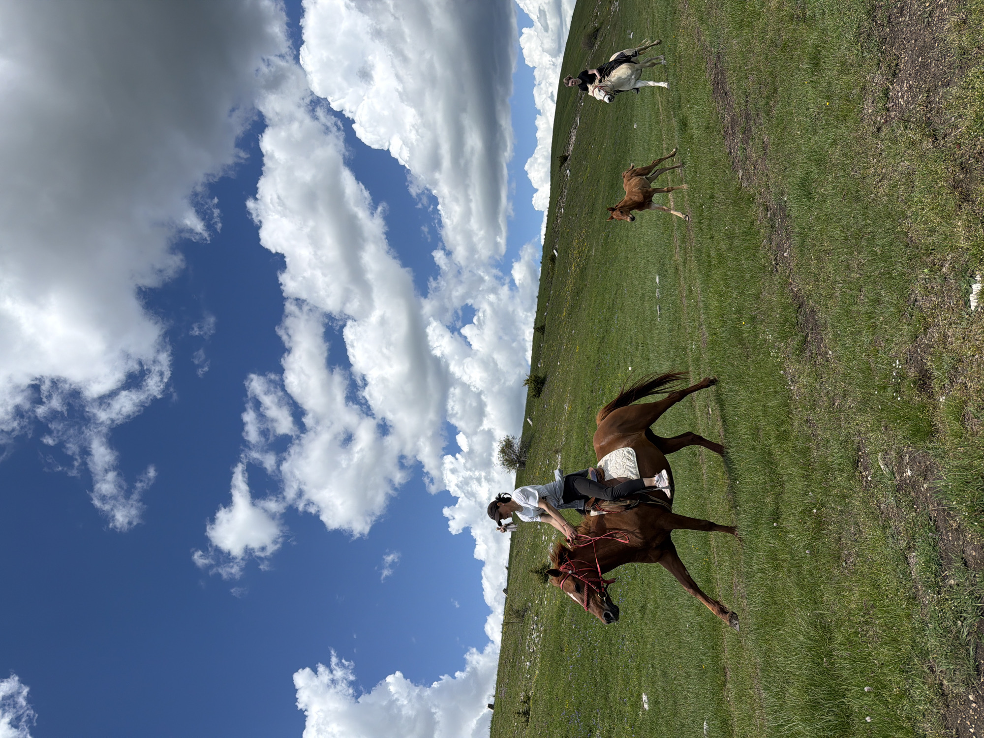 The image depicts an outdoor scene in Novakovići, Montenegro, featuring two individuals on horseback and a foal traversing a verdant, gently sloping hillside under a blue sky adorned with large, white cumulus clouds.
In the foreground and center-left, a female rider wearing a white t-shirt, dark pants, and a dark baseball cap is mounted on a brown horse equipped with a red bridle and a white saddle pad. The horse is captured mid-stride, with its front left leg extended, indicating movement from left to right across the frame. The rider holds the reins and a small, light-colored object in her right hand, looking slightly towards her left.
To the midground and center, a light brown foal with darker legs is running, positioned between the two ridden horses and appearing to move from right to left.
In the background and right, a second female rider, dressed in a dark top and pants, is on a light-colored horse. This horse is also in motion, moving generally from left to right, following or accompanying the lead rider.
The environment consists of expansive green grass covering an undulating terrain, with sparse dirt patches and rocks visible. A slight upward slope is evident towards the background, where a few small bushes are present. The scene is illuminated by bright, natural daylight, casting soft shadows.