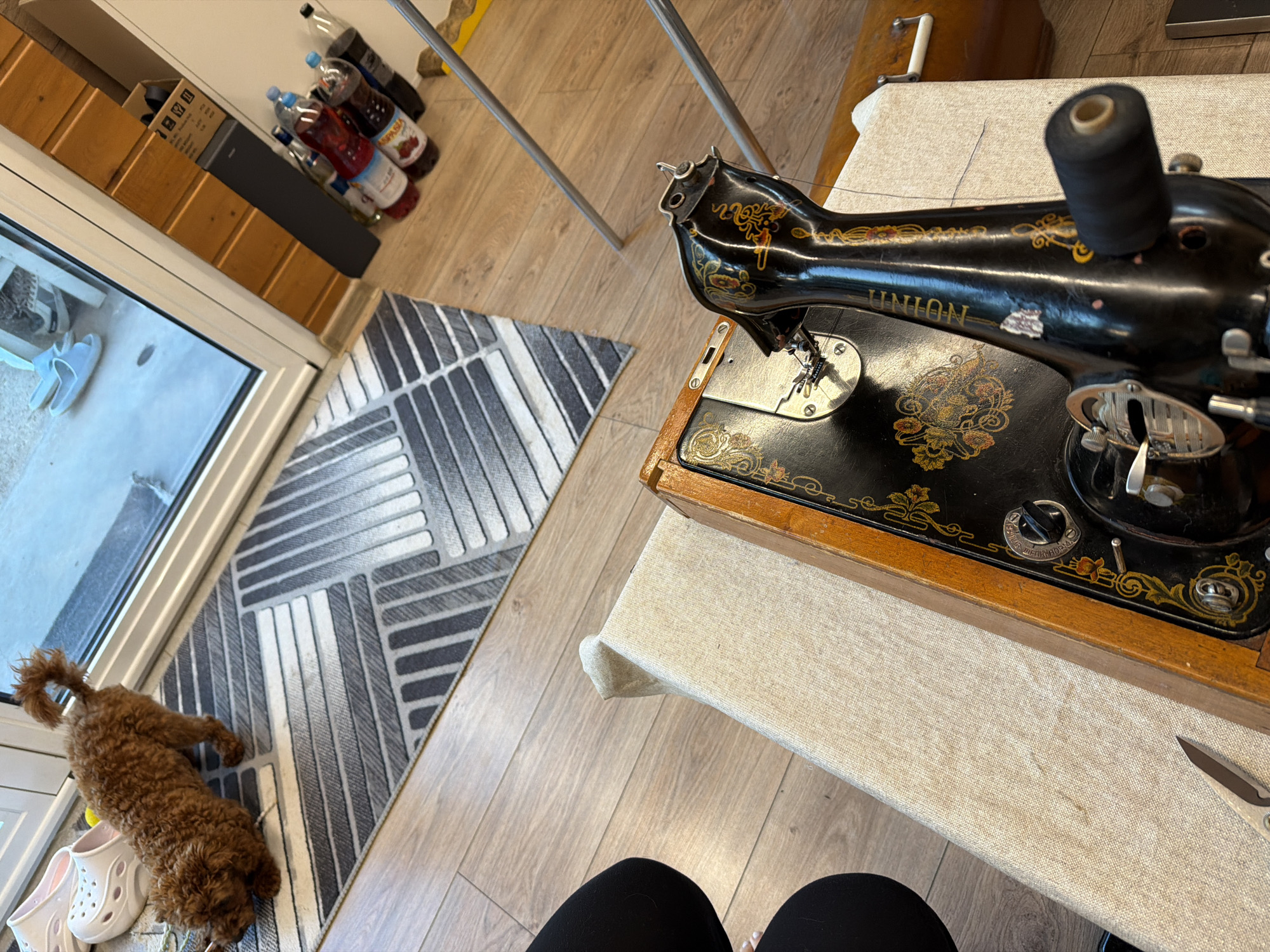 A toy poodle dog is sniffing the floor near a doorway. In the foreground, an antique sewing machine sits on a cream-colored fabric-covered surface. Behind the sewing machine, a black spool of thread is attached to a metal rod. Various bottles are visible to the right of the sewing machine. A patterned rug is on the floor near the doorway, and white Crocs are placed near the dog. The scene appears to be indoors, possibly in an apartment in Sofia, Bulgaria.