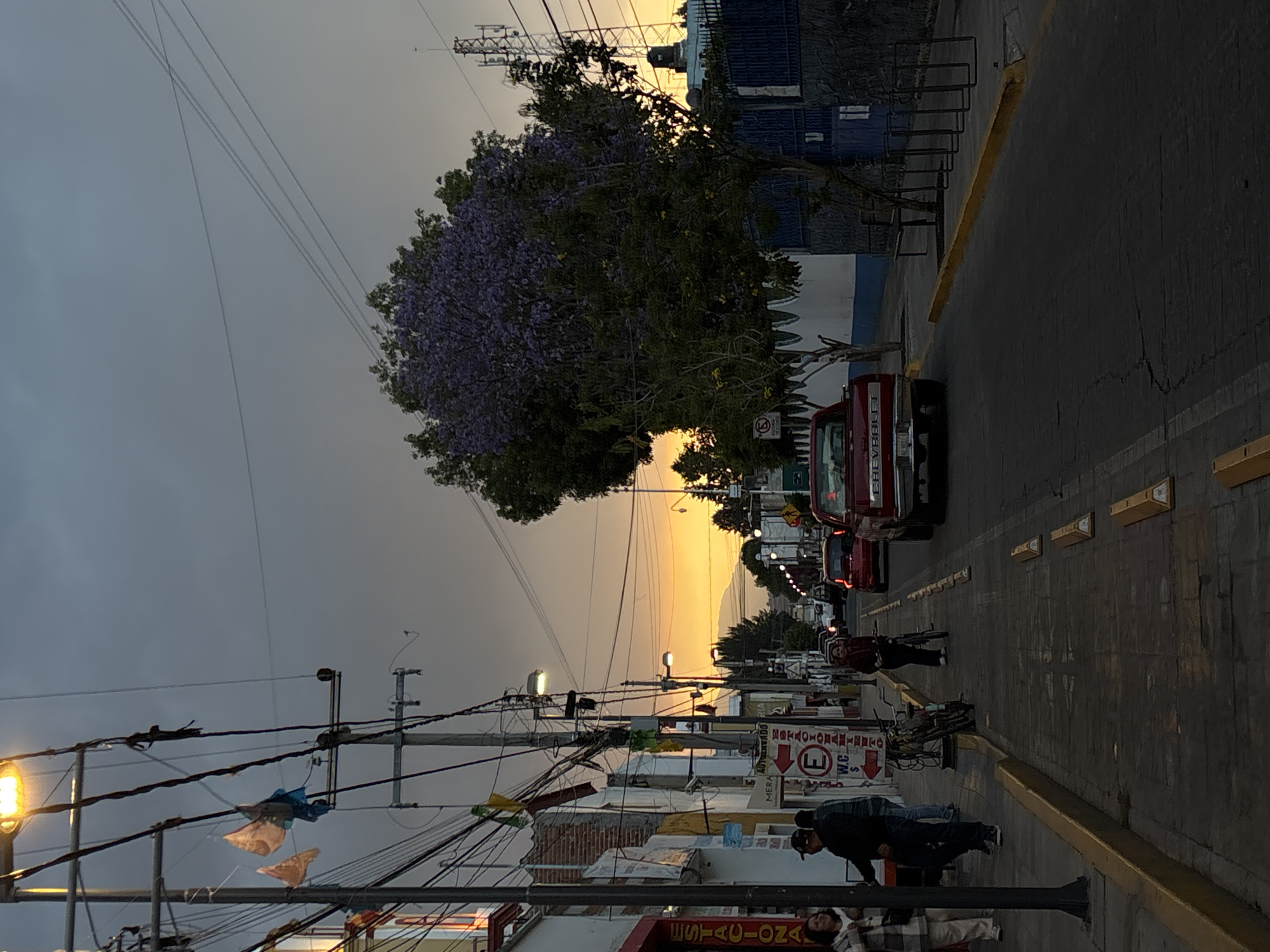 This image depicts an urban street scene at dusk in San Andrés Cholula, Mexico. The sky transitions from a dark grey overhead to a vibrant orange and yellow glow on the western horizon, silhouetting distant mountains. Artificial light emanates from overhead streetlights and commercial signs.
On the left side of the street, a paved sidewalk runs alongside low-rise buildings with painted and exposed brick facades. Numerous utility poles densely strung with electrical wires and various colored flags or bunting are present. Signs, including "ESTACIONAMIENTO" and "W.C." with directional arrows and an "E" for parking, are visible. Three individuals are on this sidewalk: a woman in a plaid jacket, a man in a dark shirt and baseball cap, and another man in a plaid shirt, appearing to be walking or standing.
The asphalt road features yellow painted curbs and several rectangular yellow road markers or bollards on the right side. A red Chevrolet pickup truck is positioned on the right side of the road, facing away from the viewer, with its tailgate visible. Further down the street, additional vehicles, including red cars and a white vehicle, are visible in traffic.
On the right side of the road, a person in a dark red top and dark pants is pushing a bicycle. Behind them, a short, patterned wall (white and blue) precedes a darker blue-grey wall with a metal fence. A large tree with abundant purple blossoms, consistent with a Jacaranda, stands prominently, accompanied by other green foliage. In the far distance on the right, a tall communications tower is discernible against the fading light.