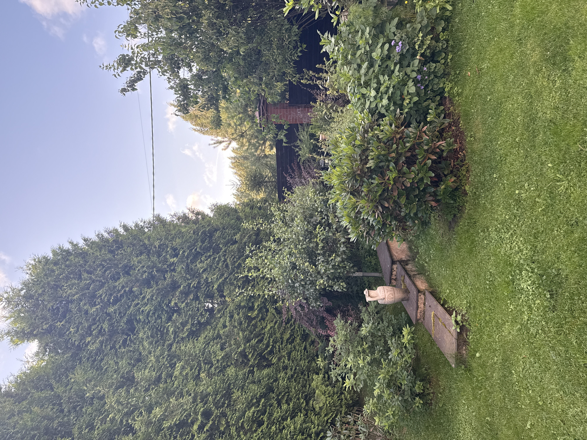 The image shows a lush, green backyard in Yukki, Russia, bathed in the soft light of a late afternoon or early evening. Towering evergreen trees form a dense backdrop on the left side, while a variety of bushes and smaller trees fill the middle and right portions of the frame. The ground is covered in a well-maintained, short green lawn, interspersed with clover.
In the mid-ground, a decorative stone pathway with two steps leads up to a small landing. On this landing rests a light-colored, amphora-shaped vase, adding a touch of classical artistry to the garden. Adjacent to the pathway, a large, leafy rhododendron bush dominates the scene, its dark green leaves providing a rich contrast to the surrounding foliage. To its right, smaller plants with delicate purple flowers are visible.
Further back, a dark wooden fence serves as a boundary, with a red brick chimney or pillar peeking out from behind the greenery. The sky above is a clear, pale blue with a few wispy white clouds, and a thin power line is stretched horizontally across the upper portion of the image. The overall impression is one of a serene and well-tended garden, offering a peaceful escape. There are no people or animals visible in the image, and no discernible actions are taking place.