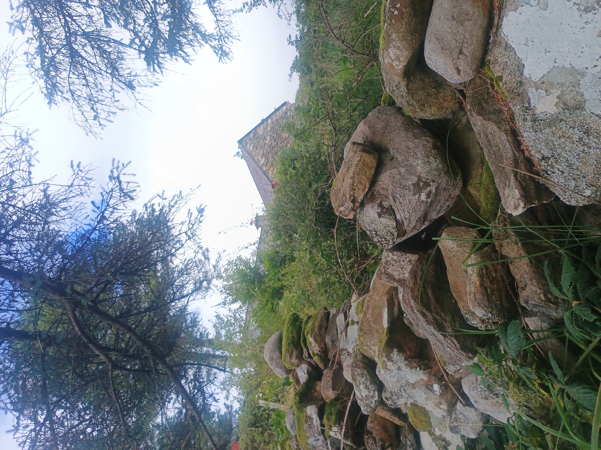 In the foreground of the image, a weathered stone wall is prominent, constructed from irregularly shaped rocks of varying sizes. Some of the stones are covered in patches of green moss, suggesting an outdoor, possibly damp environment. Green foliage and blades of grass grow at the base and around the wall.
In the middle ground, a dense growth of green bushes and trees obscures much of the scene. Peeking through the foliage, a stone building with a sloping roof and a visible chimney is situated on a slight incline. The building appears to be constructed from rough-hewn stones, similar to the wall in the foreground. A small patch of red is visible on the building, possibly a window or door.
The background consists of a cloudy, overcast sky. The upper portion of the image is framed by the branches and foliage of trees, some of which appear to be pine or fir, with their needles silhouetted against the sky. The overall impression is of a rustic, possibly rural setting. The location is given as Unknown, Unknown.