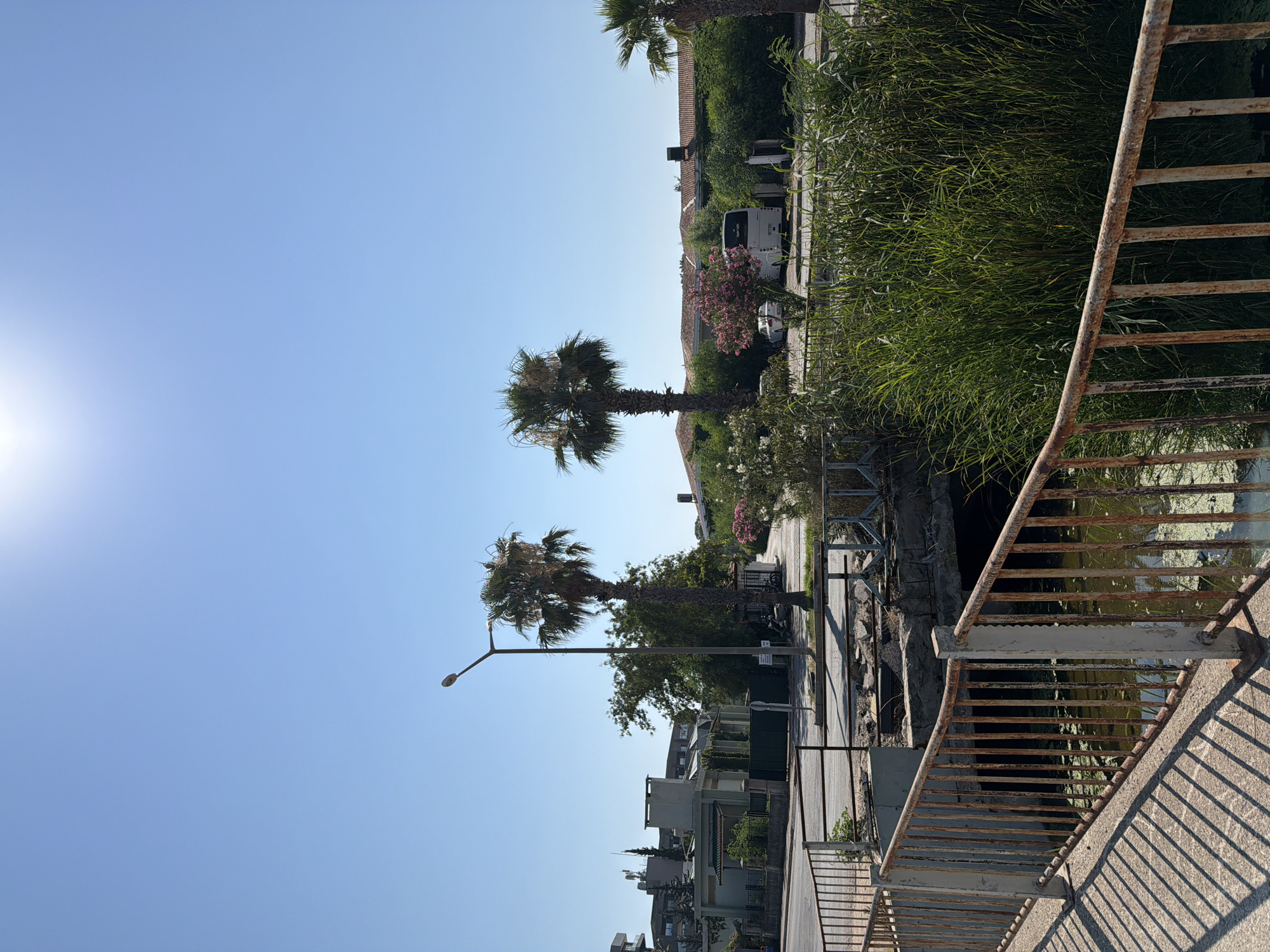 The image depicts a sunny outdoor scene in Kemer, Turkey, with a focus on a canal or small body of water spanned by a bridge. In the foreground, a concrete walkway with a rusty metal railing runs diagonally from the lower left to the upper right. Shadows from the railing are cast on the walkway. The canal below the bridge contains murky water with some green algae or plant growth and is bordered by tall, lush green reeds. Beyond the bridge, a street runs horizontally across the midground. Two palm trees are prominently featured on either side of the street. The left palm tree is taller and more slender, with a streetlamp positioned next to it. The right palm tree is shorter and wider. Behind the palm trees and street, various buildings are visible, including houses with terracotta roofs and some modern structures. A white bus and a white car are parked near the buildings on the right side of the street. The sky is a clear, bright blue with the sun creating a slight glare in the upper center of the image. The overall impression is a calm, warm day in a semi-urban environment with a touch of natural vegetation.