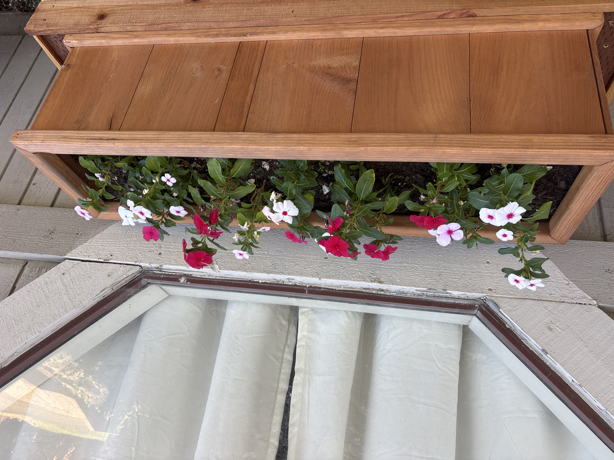 A wooden planter box filled with vinca flowers sits beneath a multi-paneled window. The flowers are a mix of pink and white, with green leaves. The window has light-colored curtains hanging behind it. The planter box is made of light-colored wood and is positioned on a wooden stand. The wall behind the planter box is a neutral color. The image appears to be taken outdoors during the day.