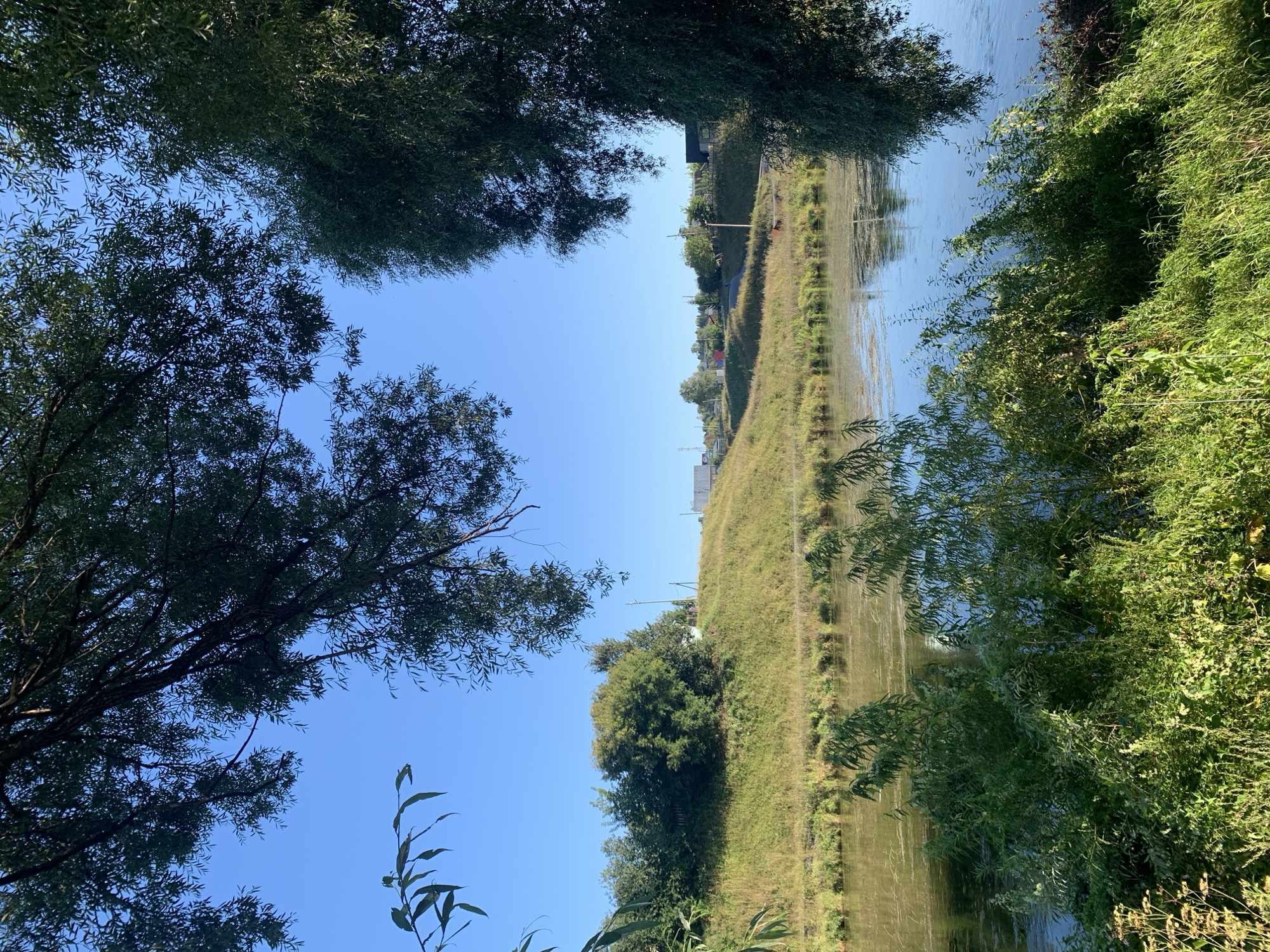 The image depicts a tranquil natural landscape under a clear blue sky, likely near the city of Asha, Russia. In the foreground, lush green foliage and tall grass fringe the calm surface of a river. The water reflects the sky and surrounding greenery, with a scattering of water lilies or similar aquatic plants visible. Beyond the river, a gently sloping grassy hill rises, dotted with trees and a few distant houses and structures, suggesting a rural or semi-rural setting. The overall impression is one of peaceful natural beauty, possibly in the late summer or early autumn.