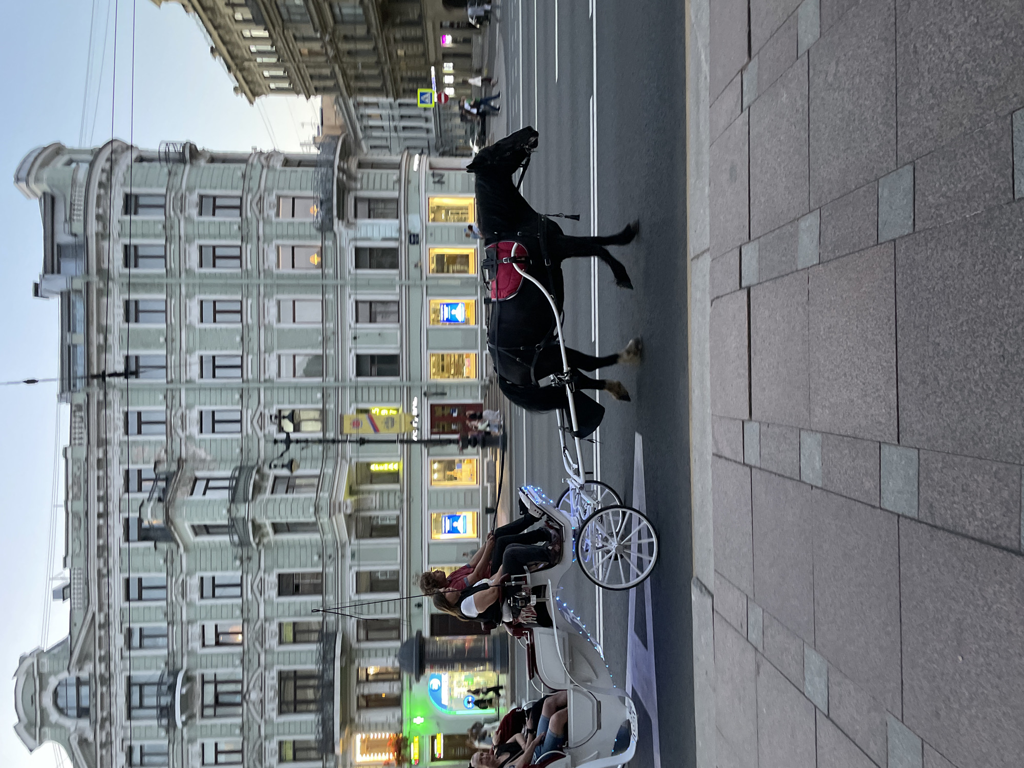 This image captures a street scene in Saint Petersburg, Russia, during twilight or evening hours. A black horse, wearing a harness with a prominent red saddle pad, is pulling a white, ornate horse-drawn carriage from left to right across a multi-lane asphalt road. The carriage is illuminated by small blue LED lights along its lower structure.
Inside the carriage, a man with curly brown hair, wearing a red shirt, is seated on the right side of the driver's bench, holding the reins. To his left, a woman with dark hair, wearing a white top over a dark garment, is seated. In the rear of the carriage, at least two other passengers are visible, including a woman with dark hair and blue shorts on the far left.
The background features typical Saint Petersburg architecture. A prominent multi-story building on the left is painted a pale green-grey with white classical architectural detailing, including cornices, decorative window frames, and small balconies. Its ground floor houses commercial establishments with illuminated storefronts, displaying green, yellow, and blue light from within. Further right, another older building with darker tones is visible. Overhead wires span the sky.
The road has clear white lane markings. In the foreground, a wide sidewalk composed of rectangular grey and darker grey paving stones is visible. Pedestrians can be seen walking on the sidewalks in the distance. A dark street lamp and a yellow pedestrian crossing sign are also present further down the street on the right. The sky is a clear, light blue-grey, consistent with the time of day.