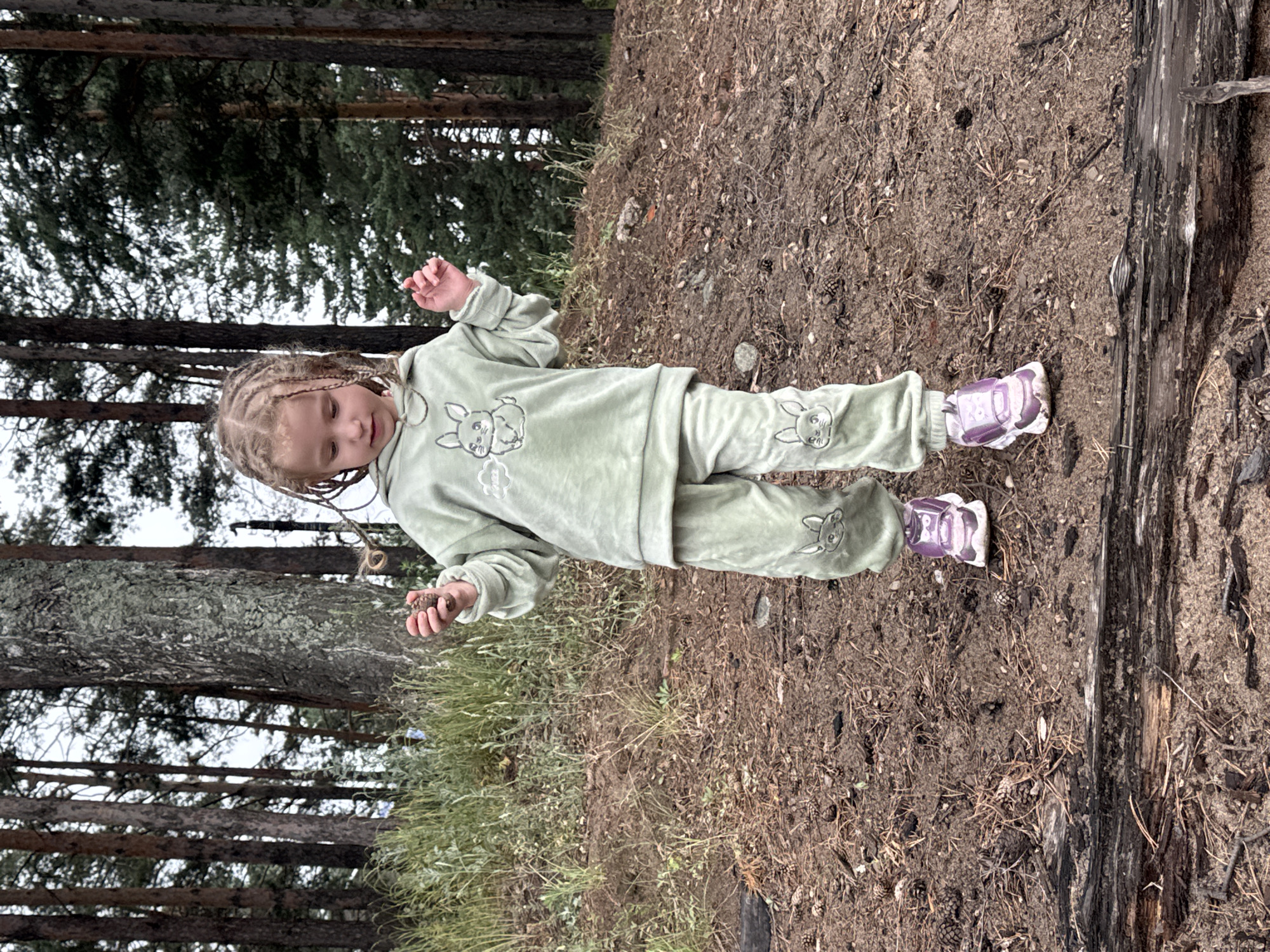 A young girl with blonde braids is lying on the ground in a forest. She is wearing a light green velour tracksuit with bunny embellishments. The tracksuit has a hood and long sleeves. She is also wearing purple shoes with a velcro closure. The girl is looking down and appears to be holding a pinecone in her right hand. The ground is covered with dirt, pine needles, and small pebbles. There are several pine trees in the background, with their trunks and branches visible. The overall setting is a natural, wooded environment. The lighting suggests it is daytime, possibly overcast. The image is oriented sideways.