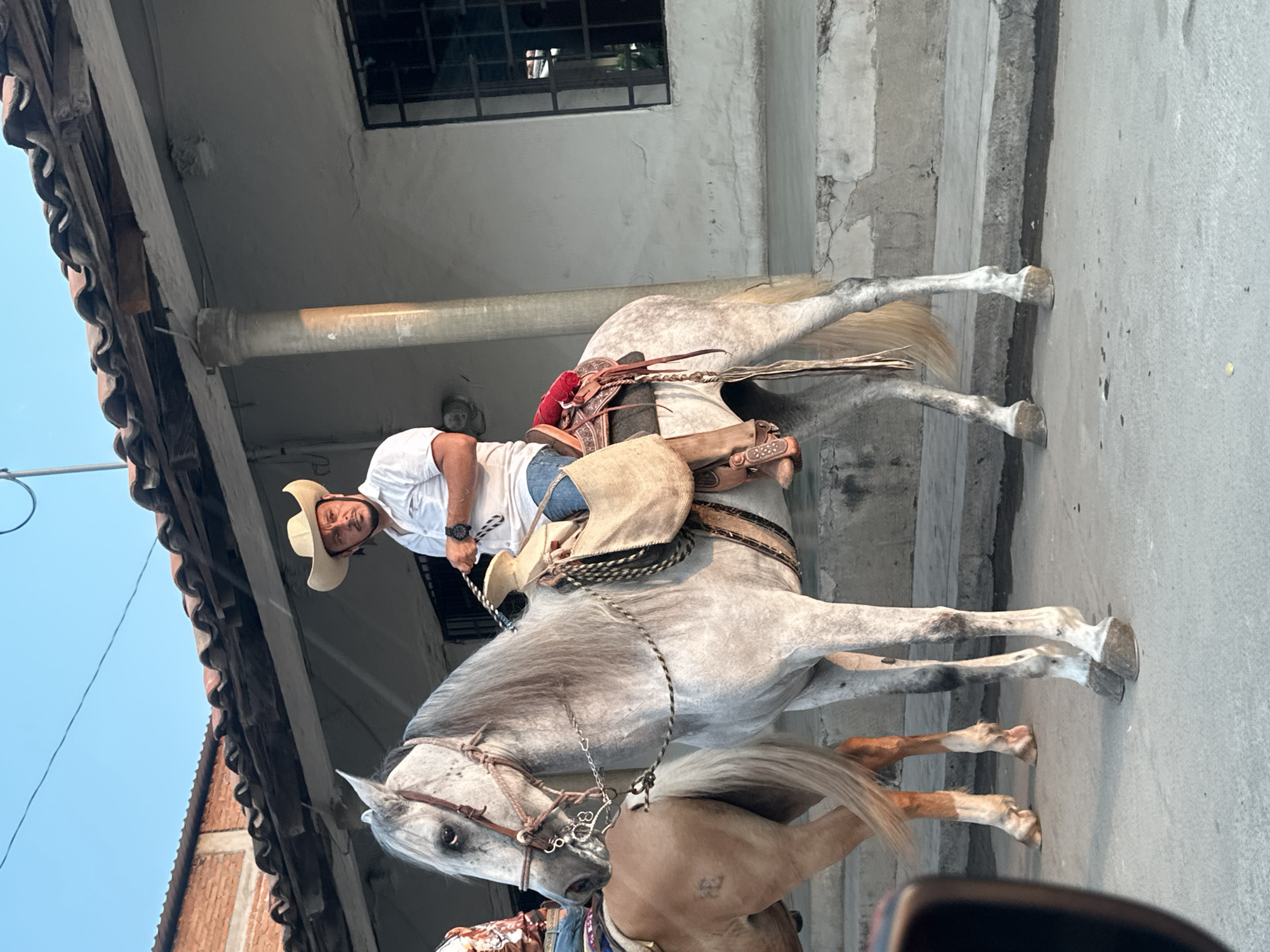 A medium shot depicts a man on horseback in Atoyac de Álvarez, Mexico. The man wears a white shirt, blue jeans, a cowboy hat, and a watch on his left wrist. He is atop a dappled gray horse with a decorated saddle and bridle. A second horse, partially visible in the foreground, appears to be light brown. Both horses are standing on a concrete road. To the left is a building with a tiled roof and a pillar. A window with metal bars is visible above the man. The sky is a clear blue.
