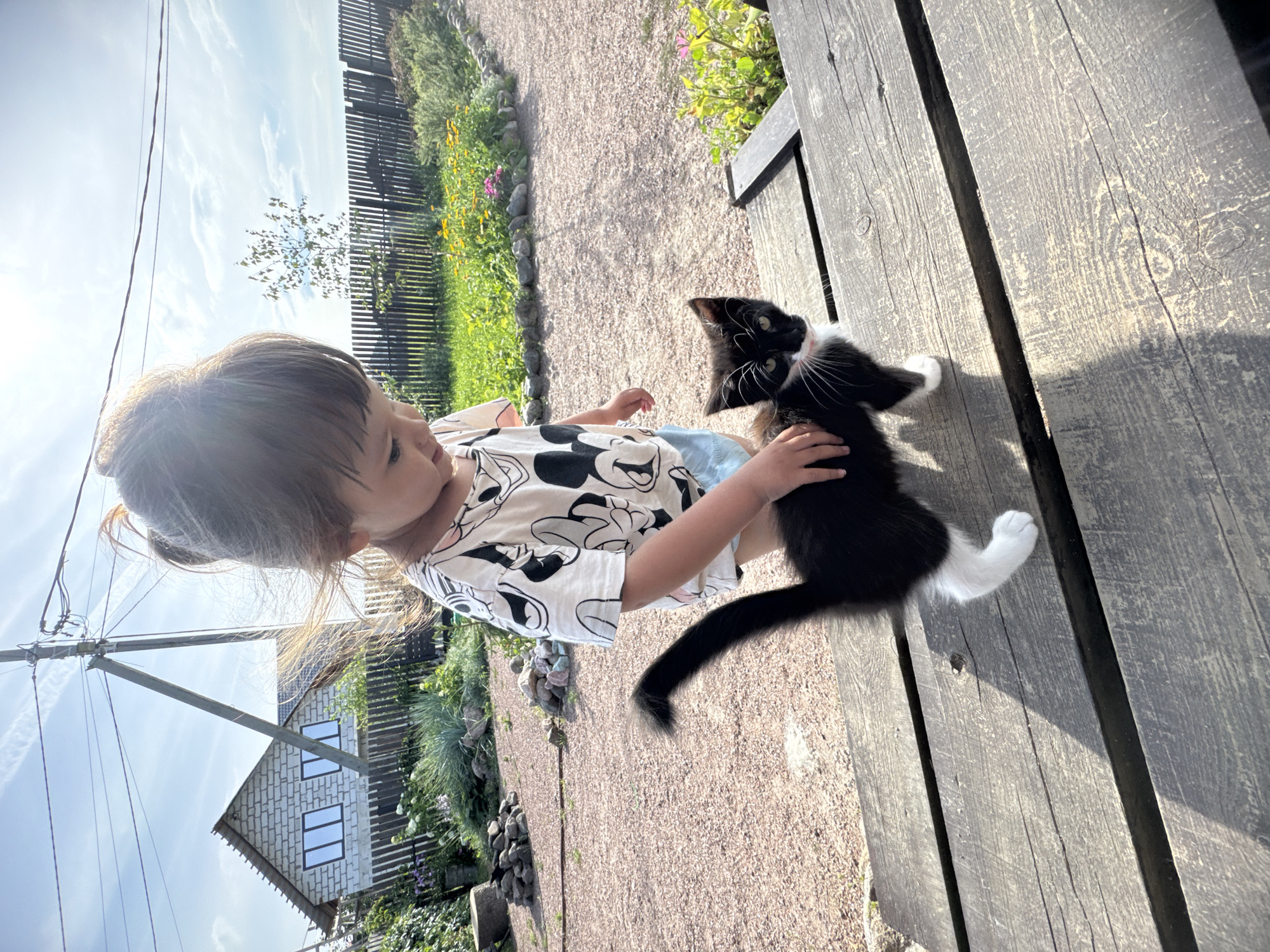 In Kempelevo, Russia, a young child with dark hair, wearing a Mickey Mouse t-shirt and blue shorts, gently pets a black and white kitten on a weathered wooden table outdoors. The kitten, with white paws and a pink collar, looks towards the camera with prominent white whiskers. Behind them, a garden with blooming flowers and lush greenery is visible, bordered by a wooden fence. In the background, a simple brick house with large windows stands under a bright, partly cloudy sky with visible contrails from airplanes. Electrical poles and wires are also present in the scene. The ground is covered in gravel.